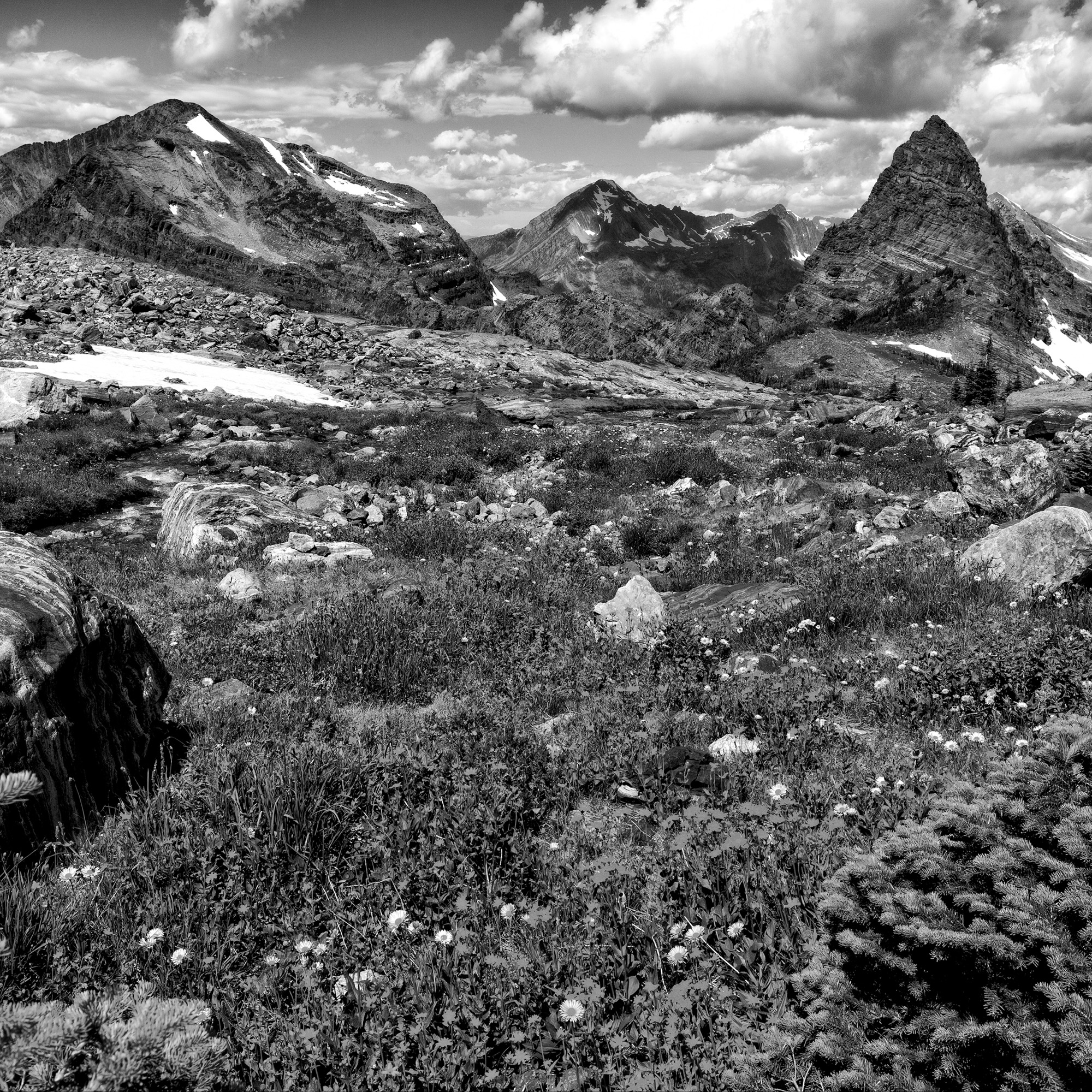 Sperry Glacier Basin, Glacier National Park