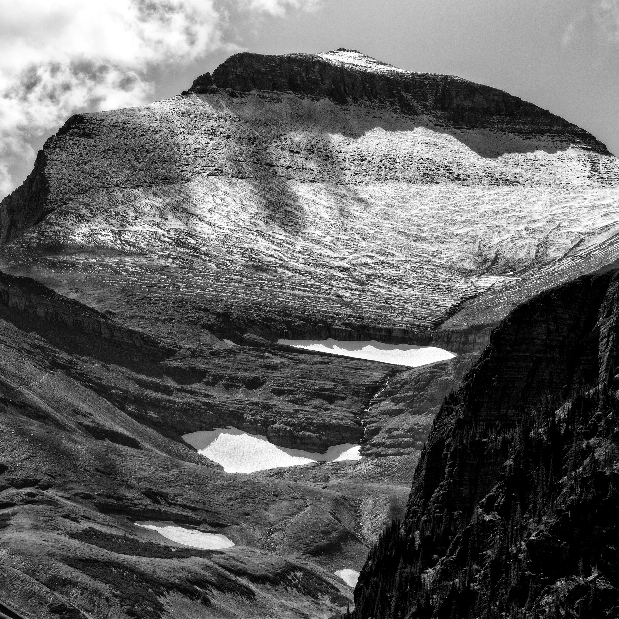 Piegan Mountain, Glacier National Park