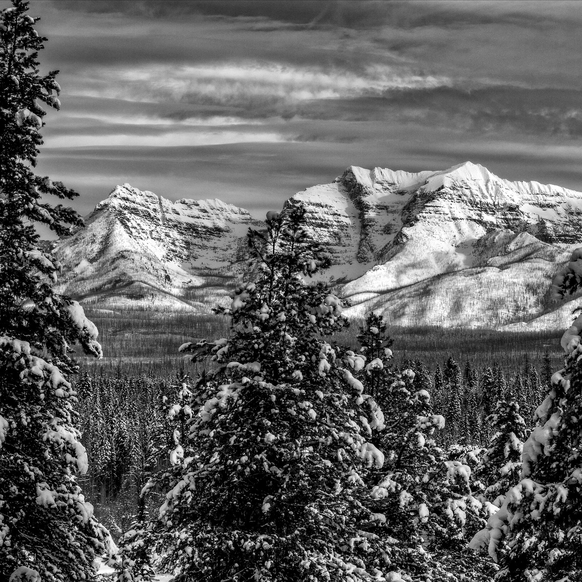 Northfork, Glacier National Park
