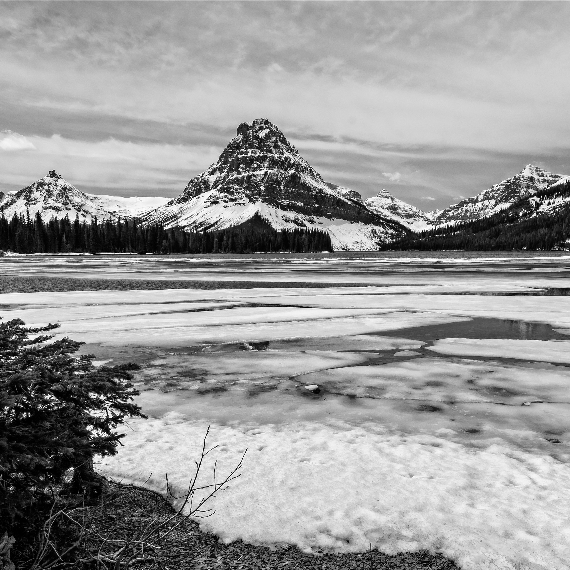 Two Medicine Valley, Glacier National Park