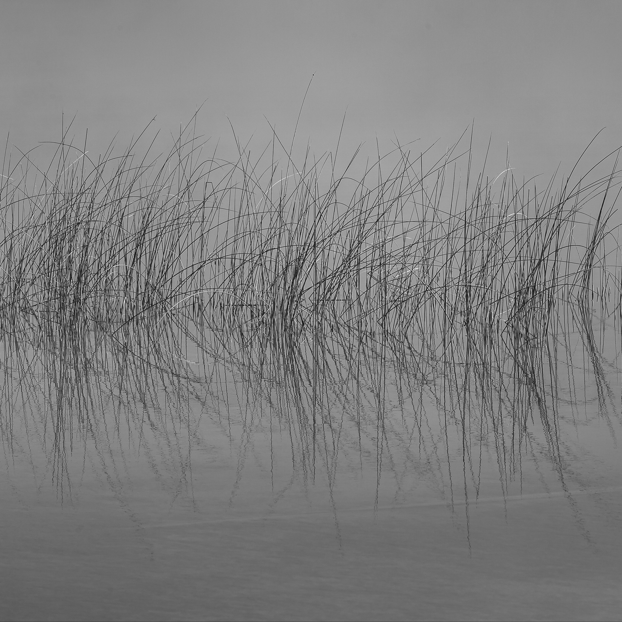 Living Patterns