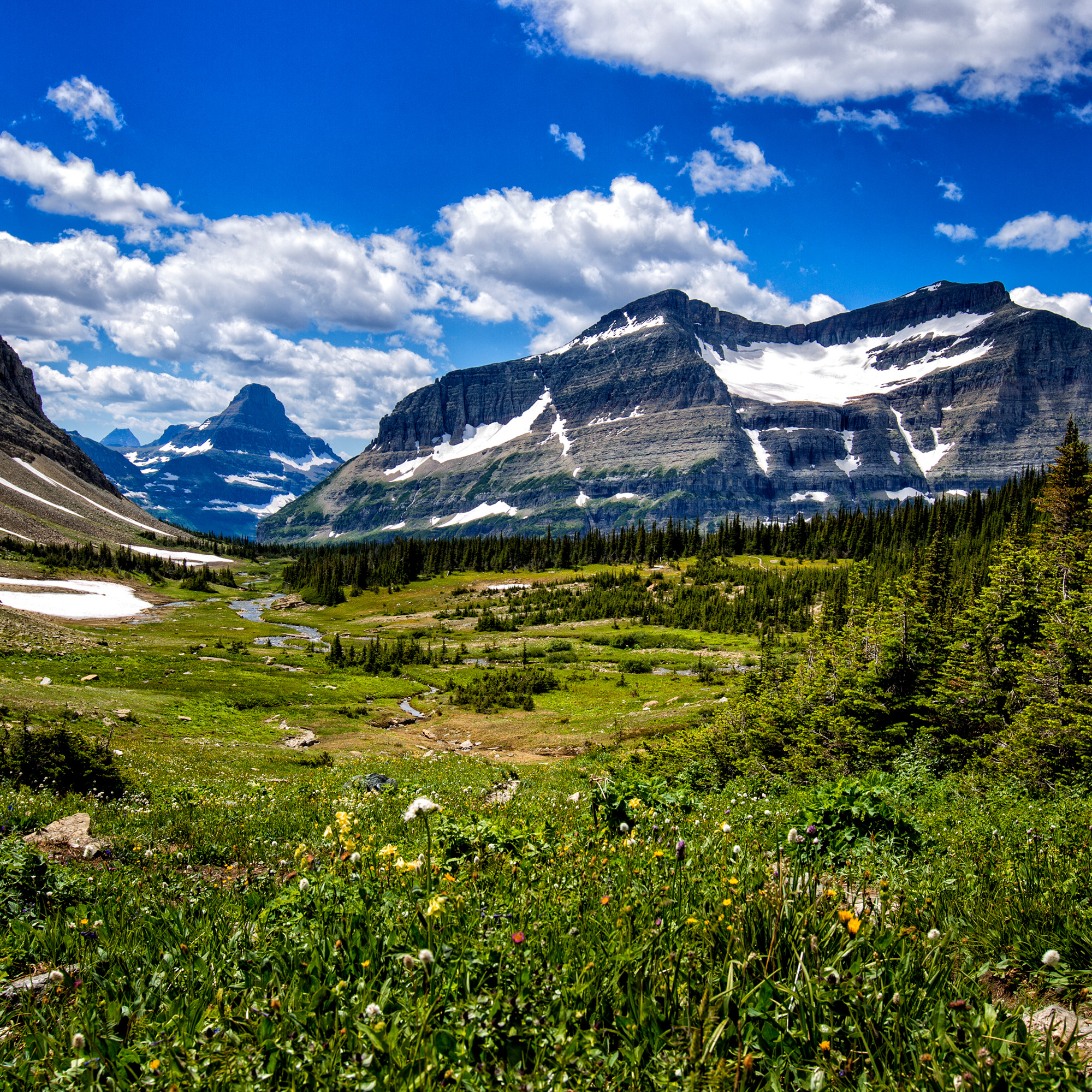 Preston Park, Glacier National Park