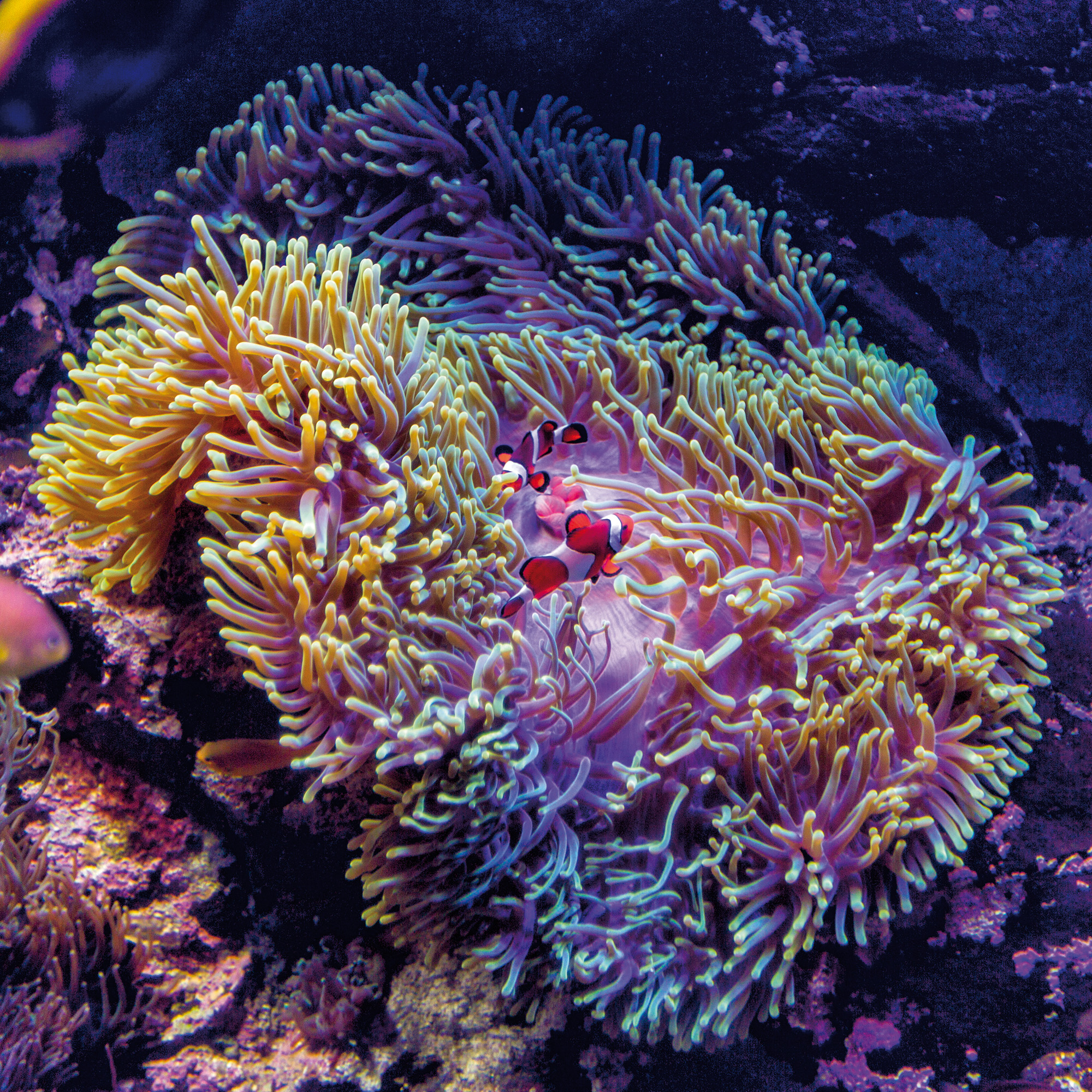 Aquarium Sydney