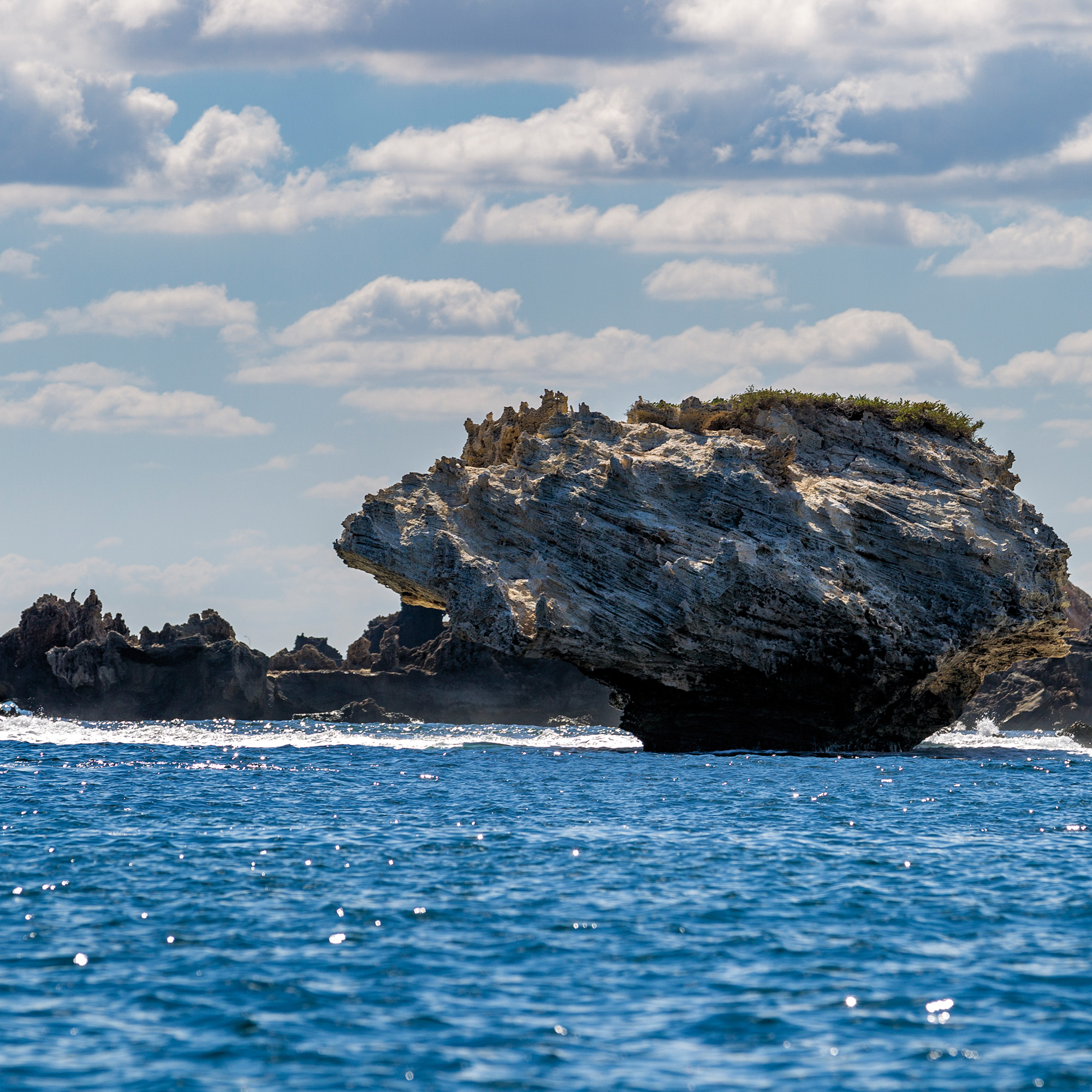 Penguin Island, West Australia