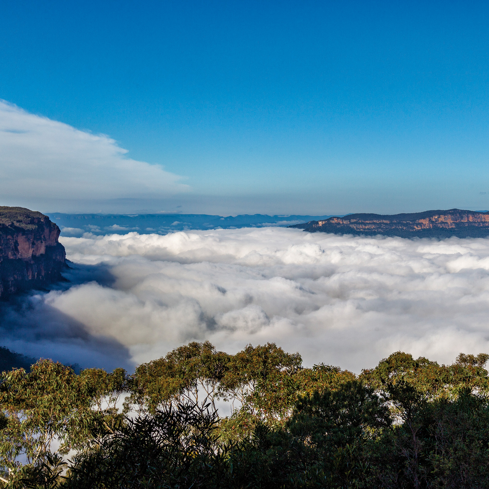 Blue Mountains, NSW