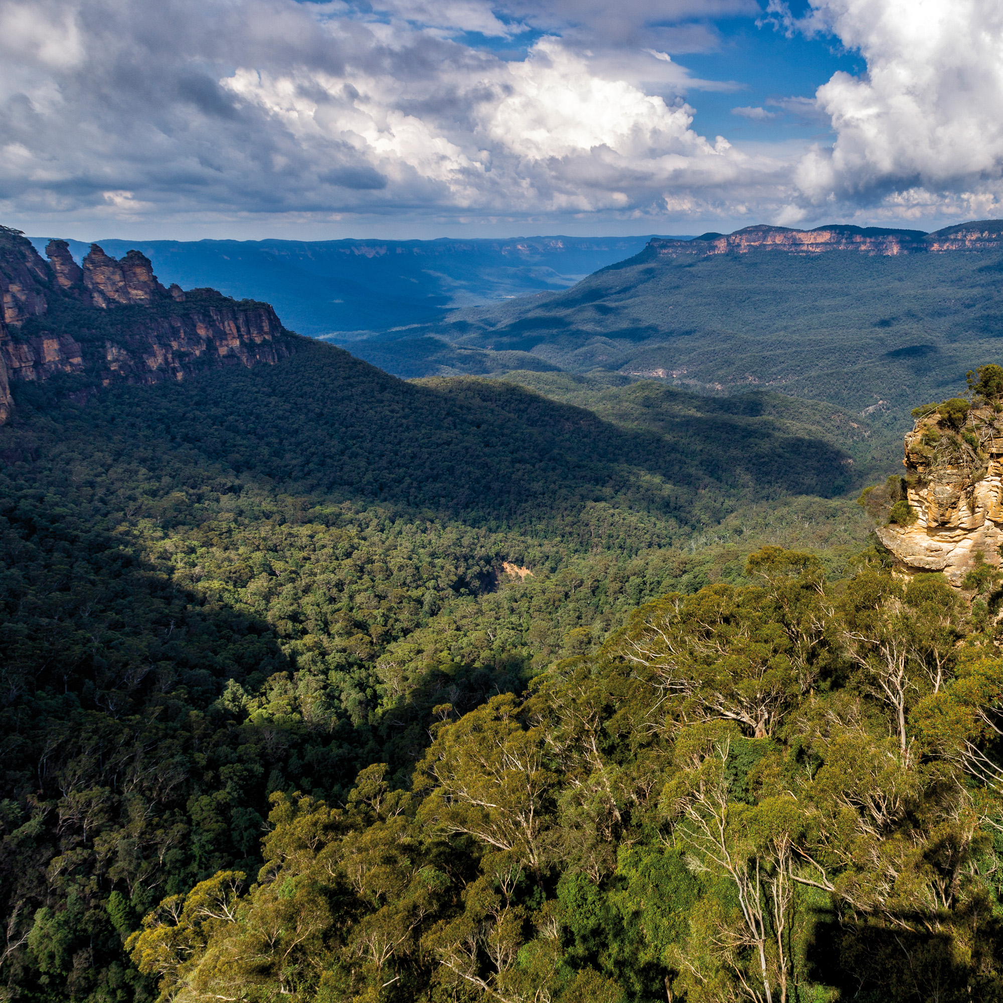 Blue Mountains, NSW