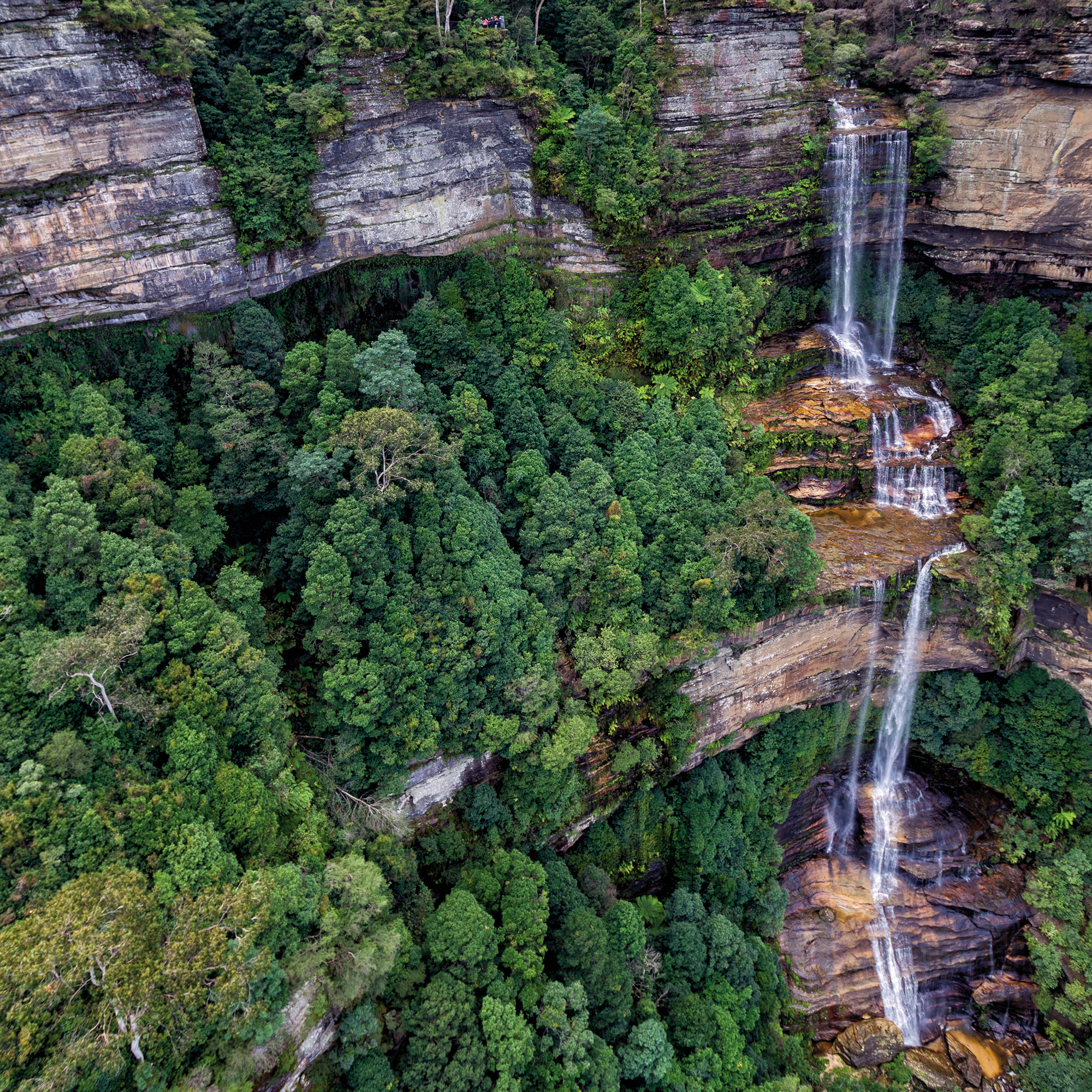 Blue Mountains, NSW
