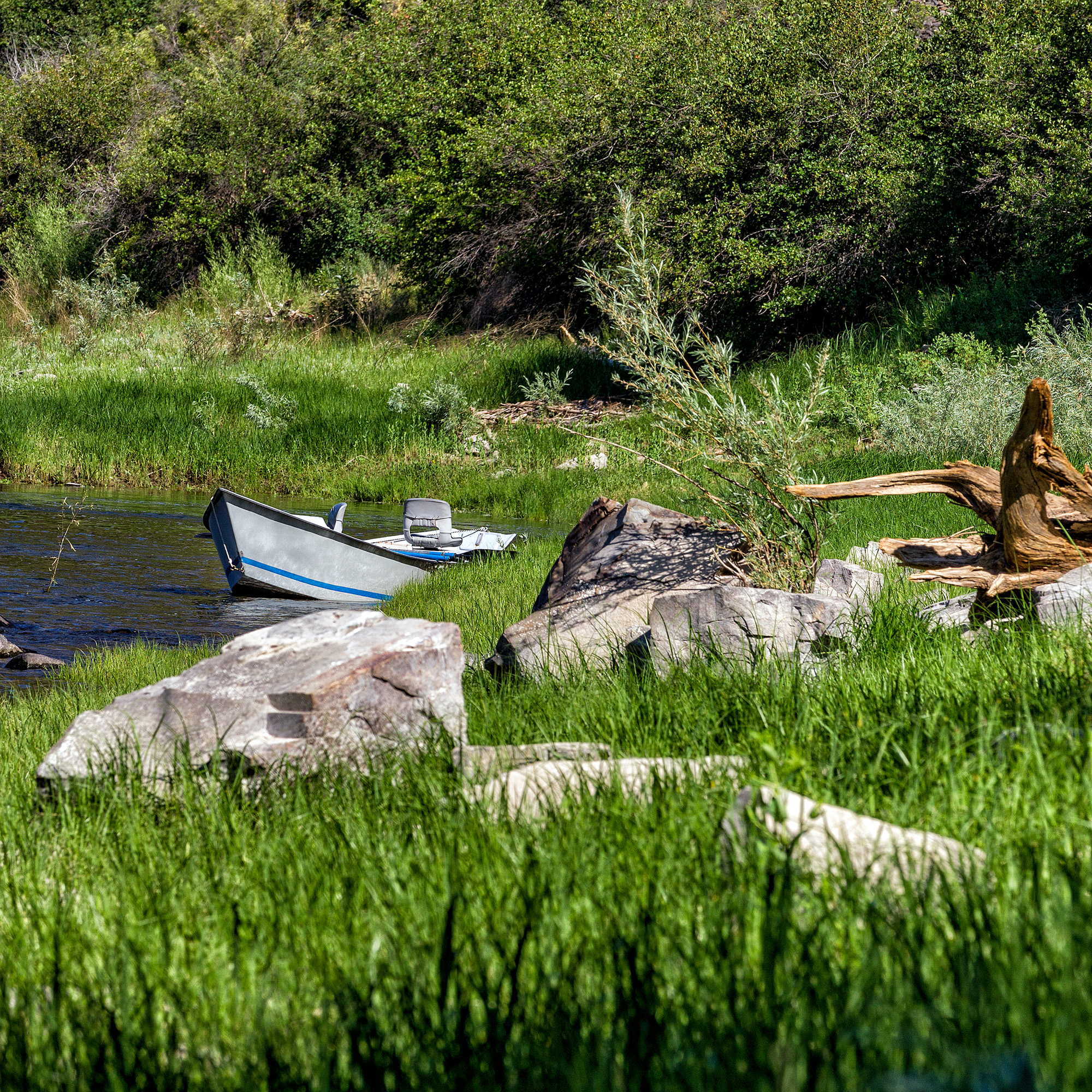 Clark Fork River, Montana