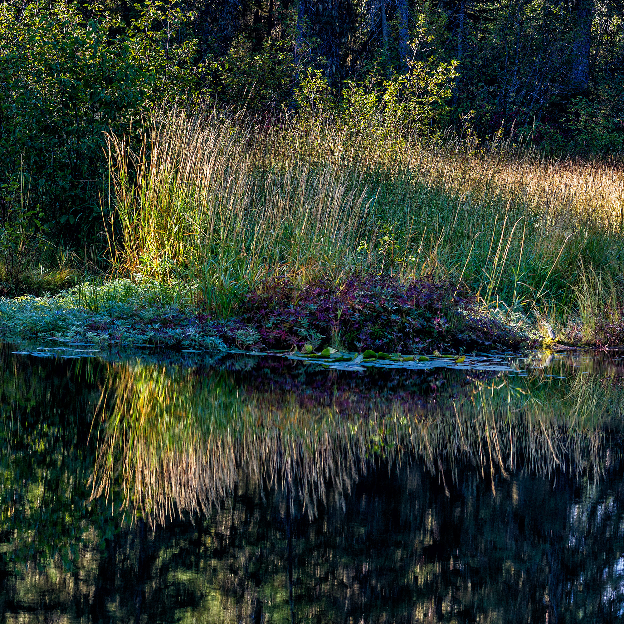 Living Patterns, Montana