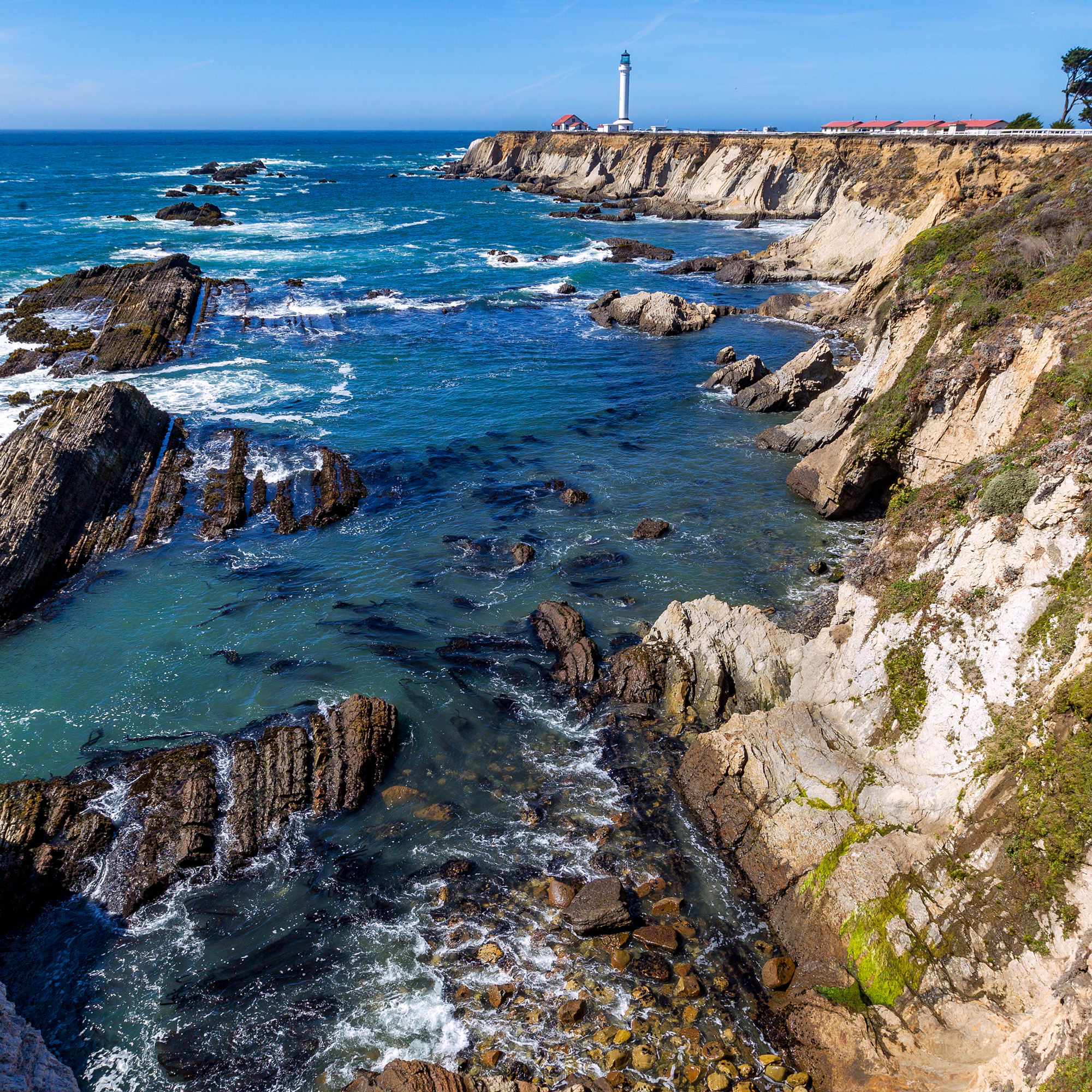 Point Arena State Park, California
