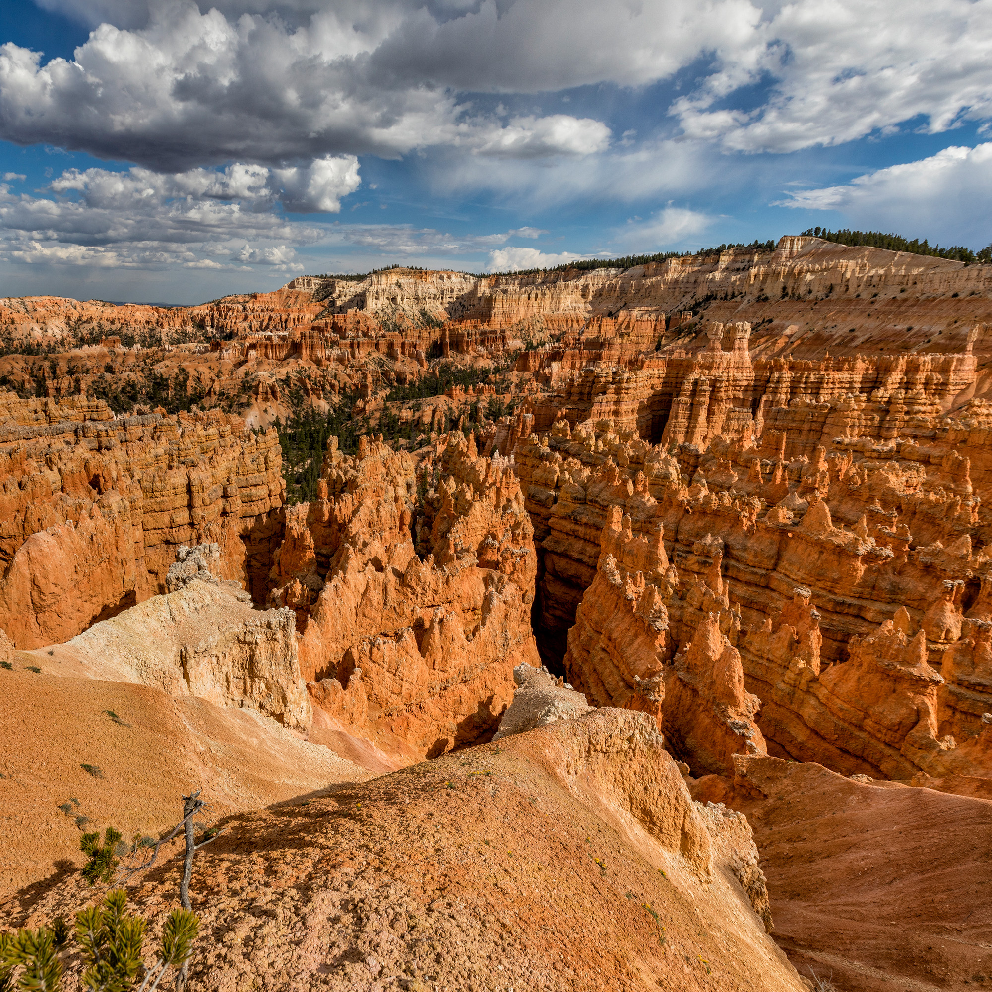 Bryce National Park, Utah