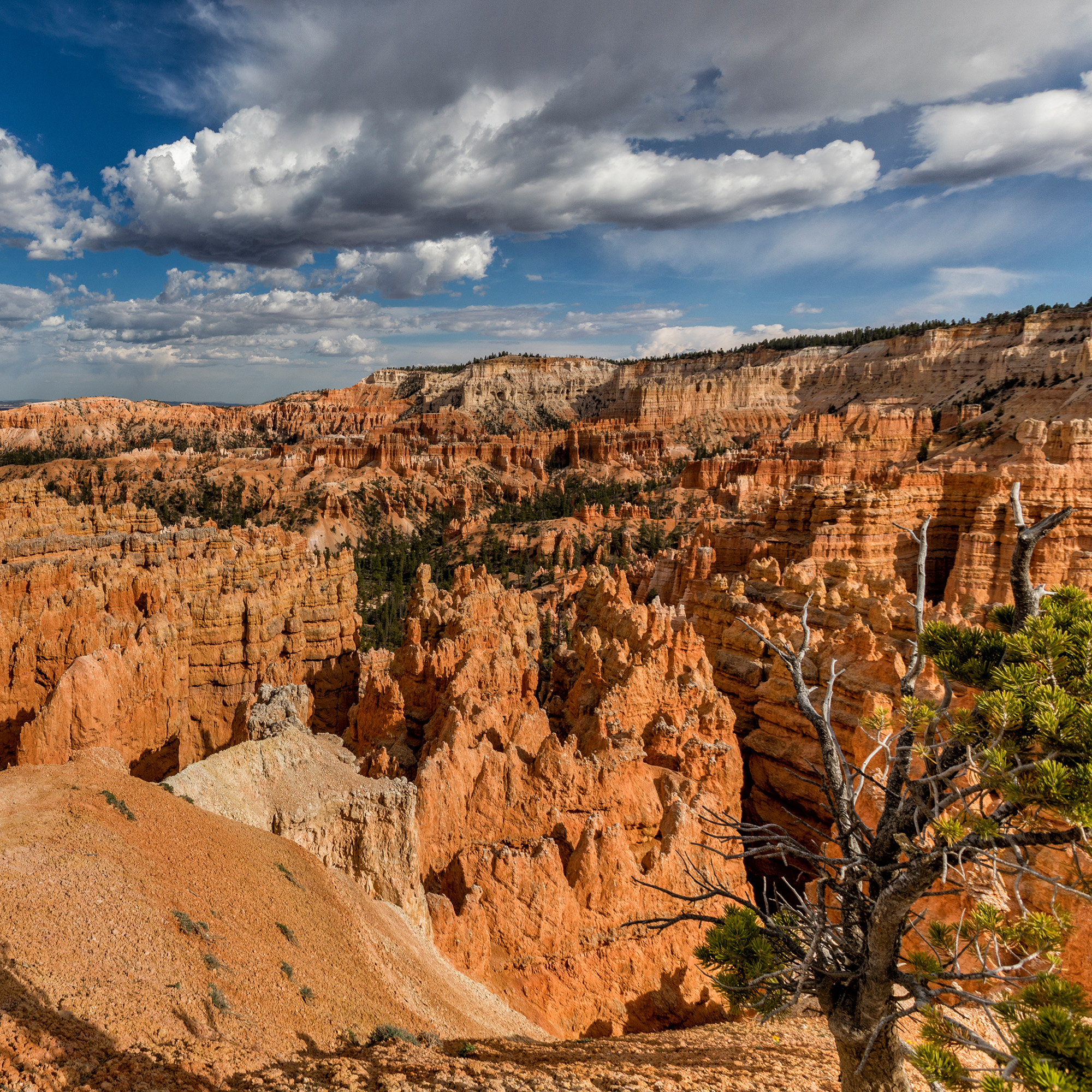 Bryce National Park, Utah