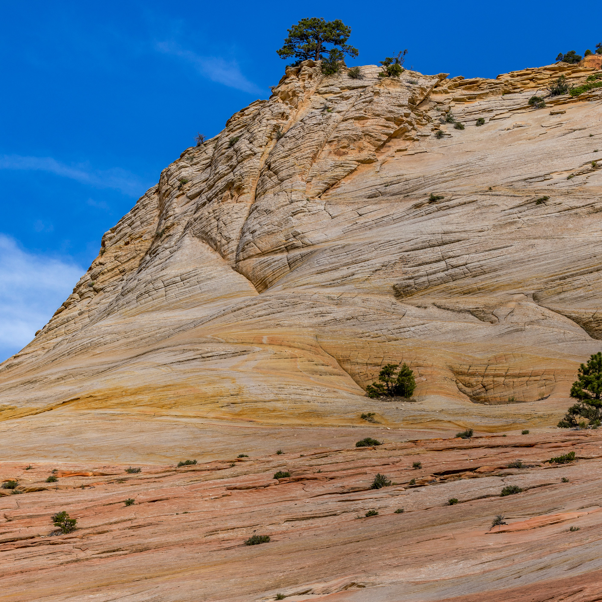 Zion National Park, Utah