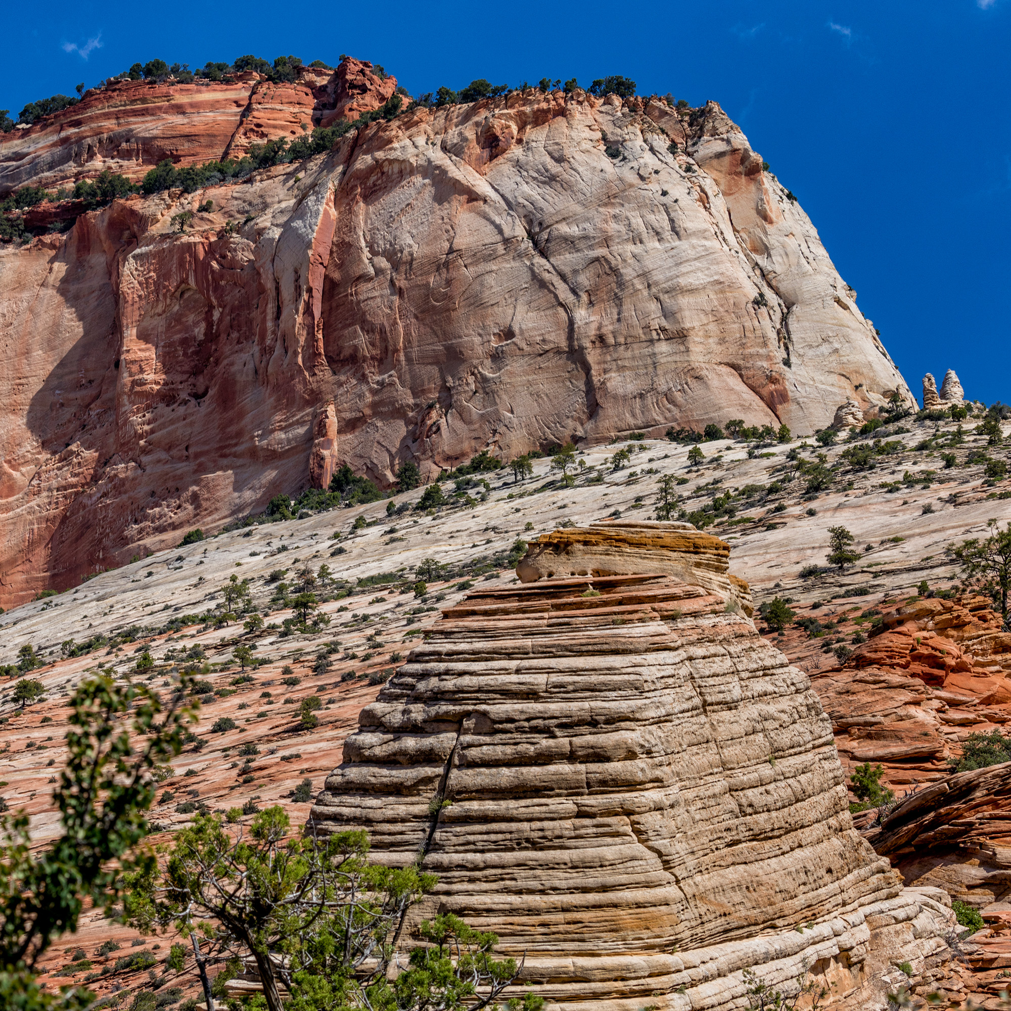Zion National Park, Utah
