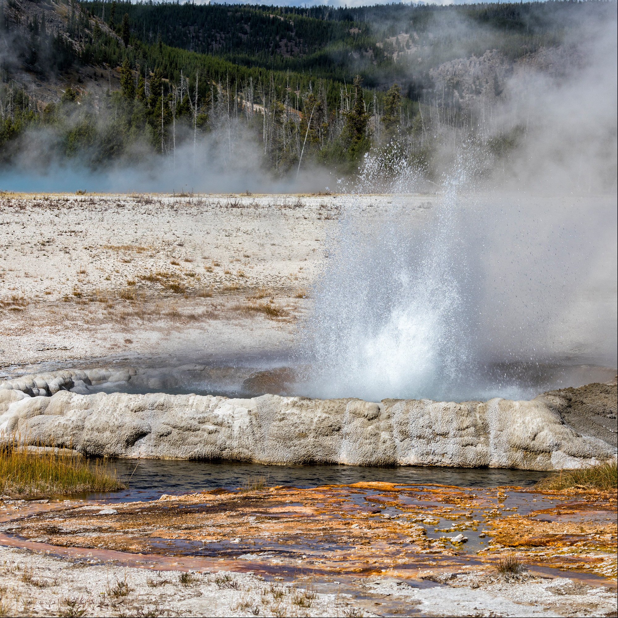Yellowstone National Park, Wyoming