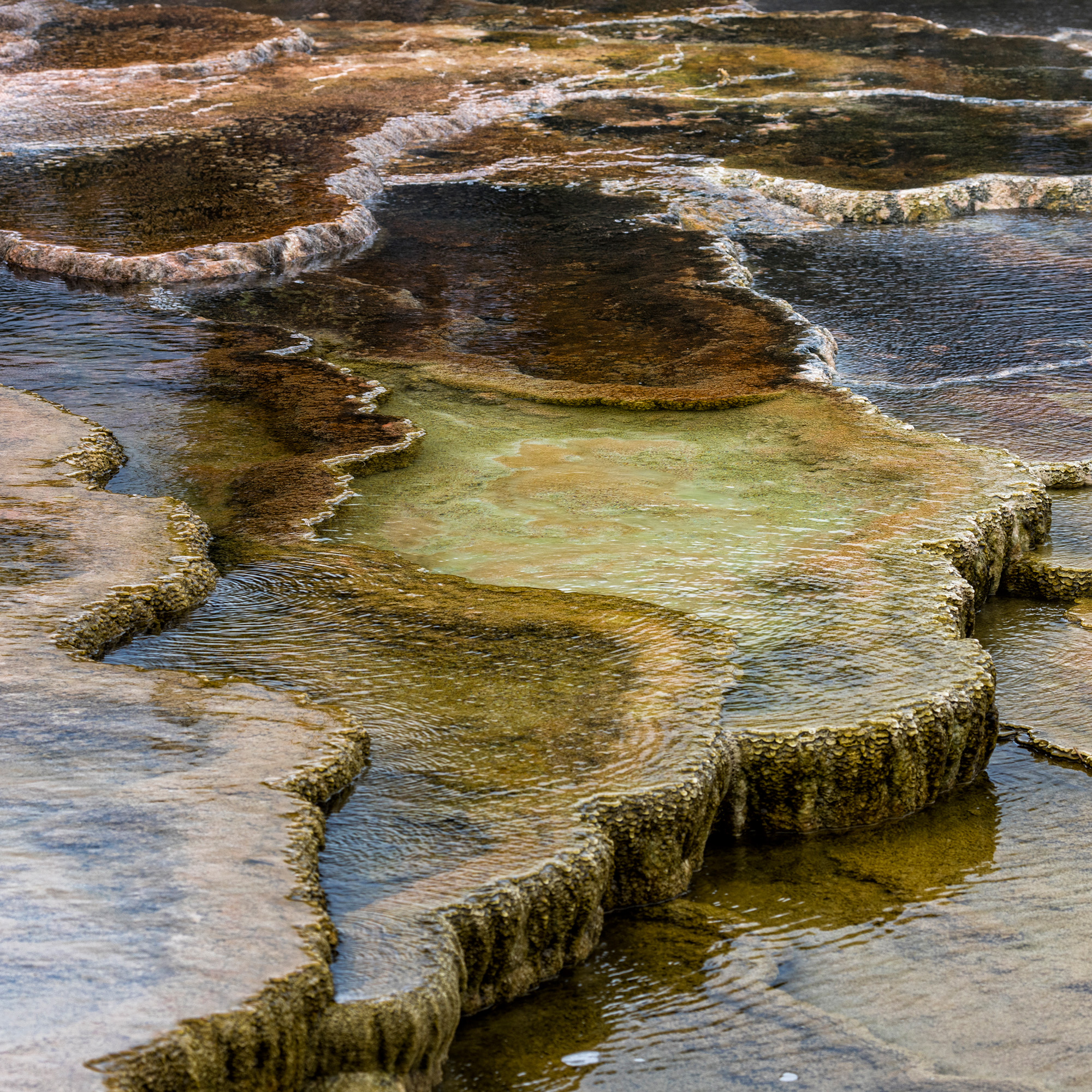 Yellowstone National Park, Wyoming