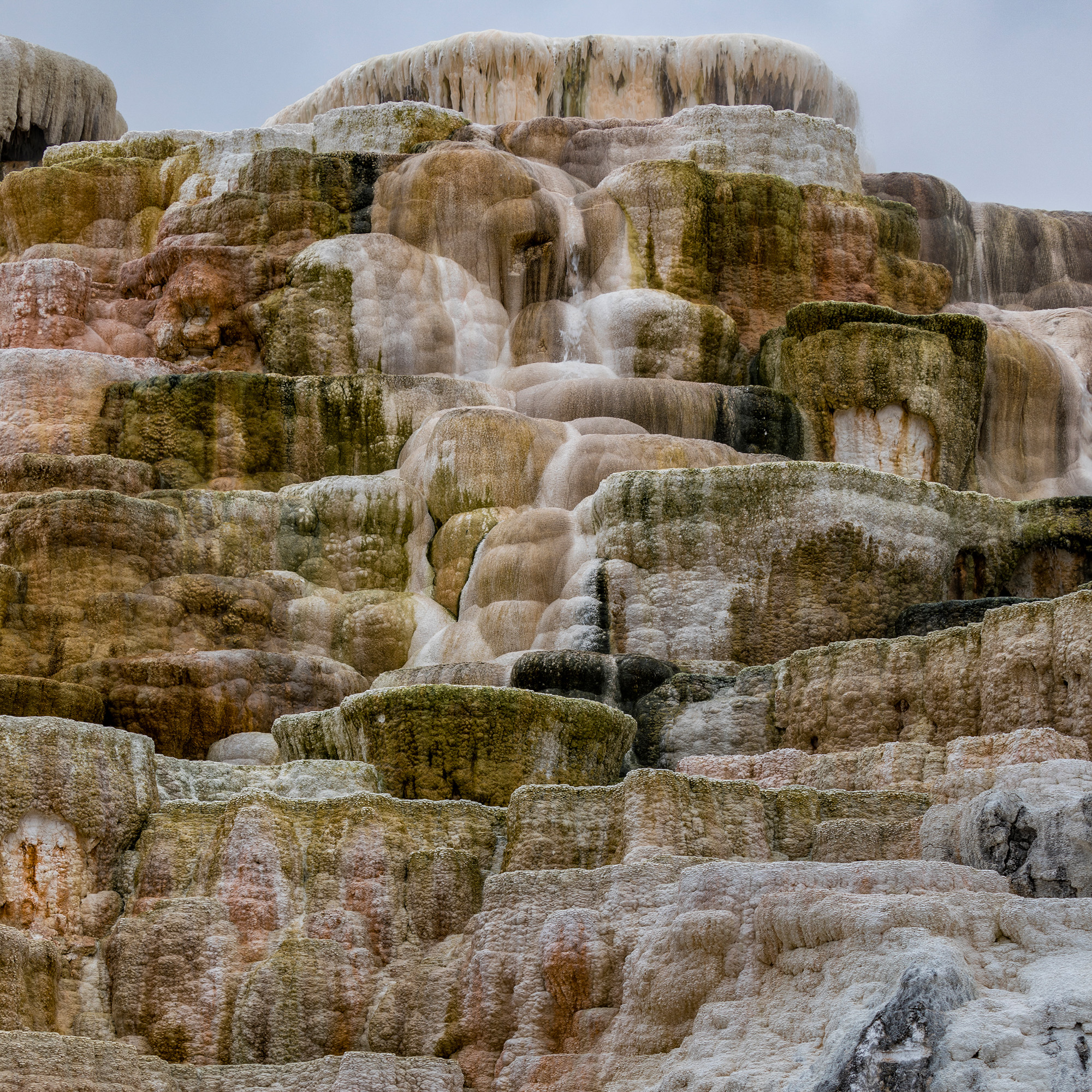 Yellowstone National Park, Wyoming