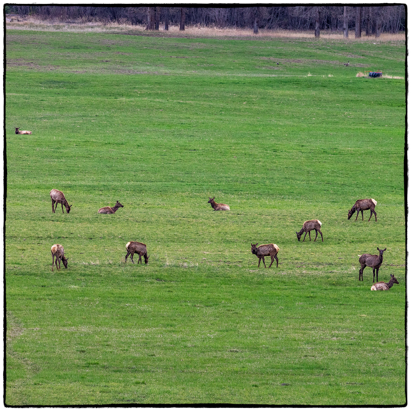 Eureka Valley, Montana