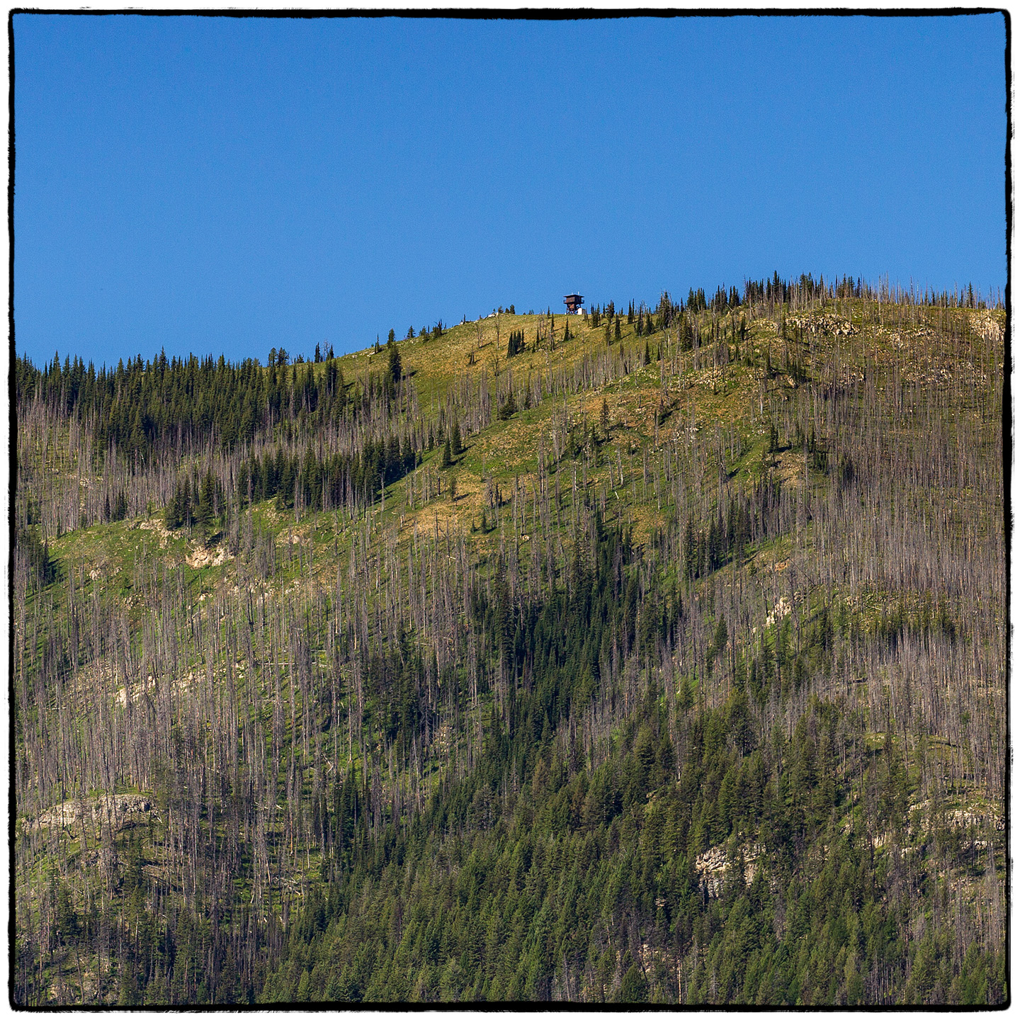 Hungry Horse Reservoir, Montana