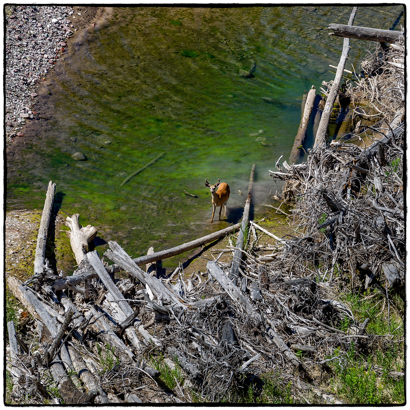 Hungry Horse Reservoir, Montana