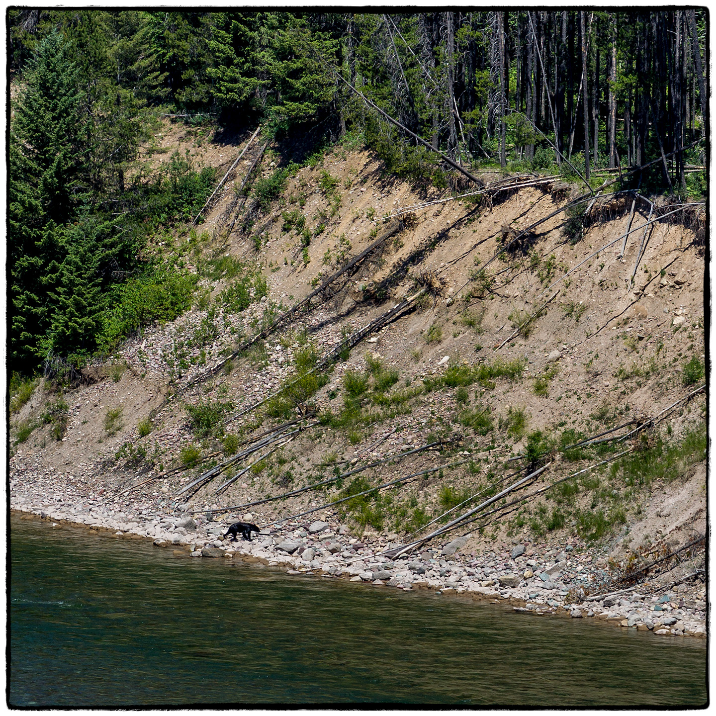 Hungry Horse Reservoir, Montana
