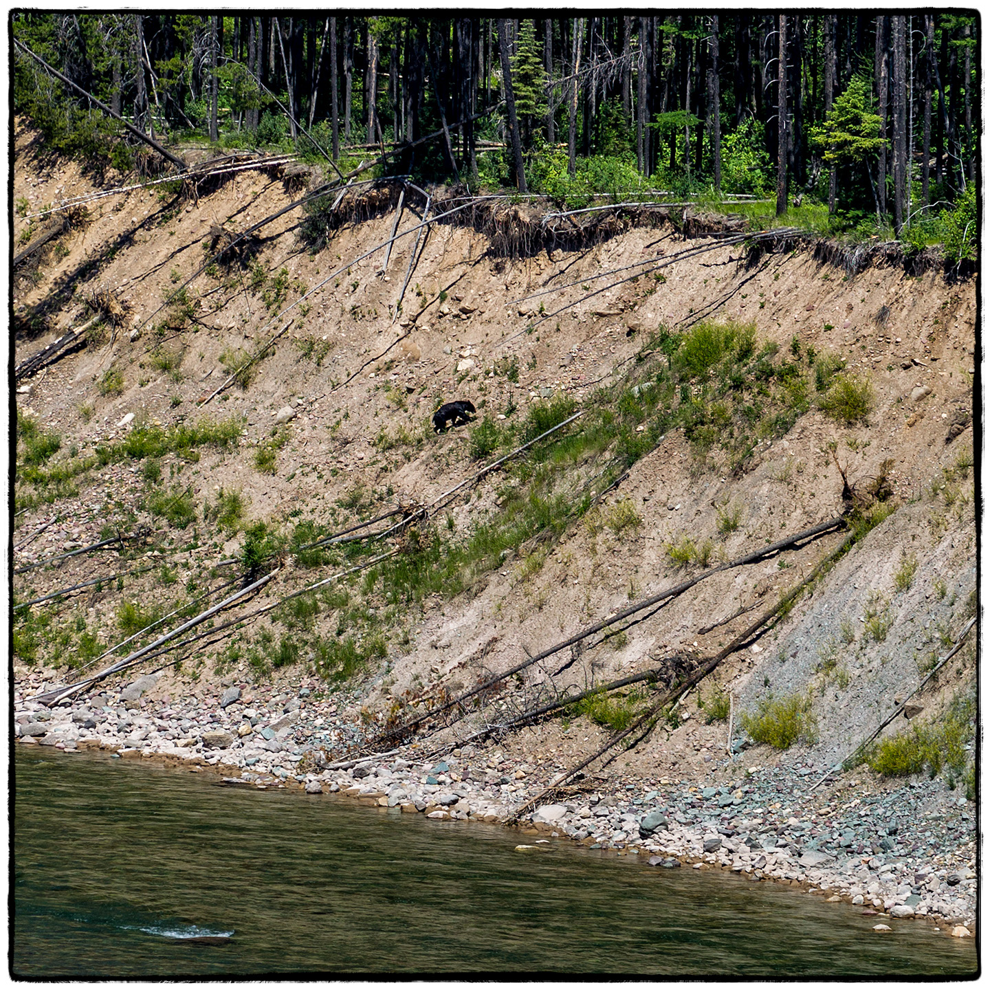Hungry Horse Reservoir, Montana