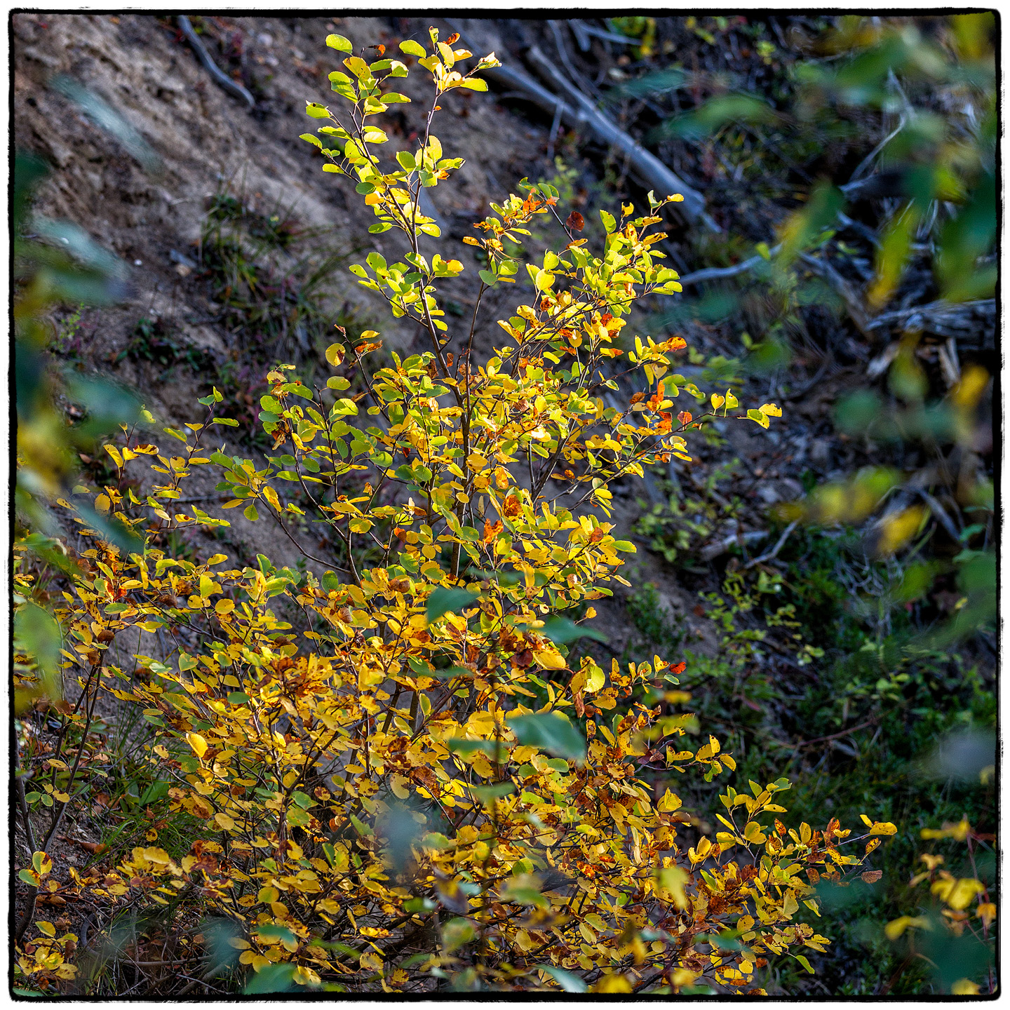 Hungry Horse Reservoir, Montana