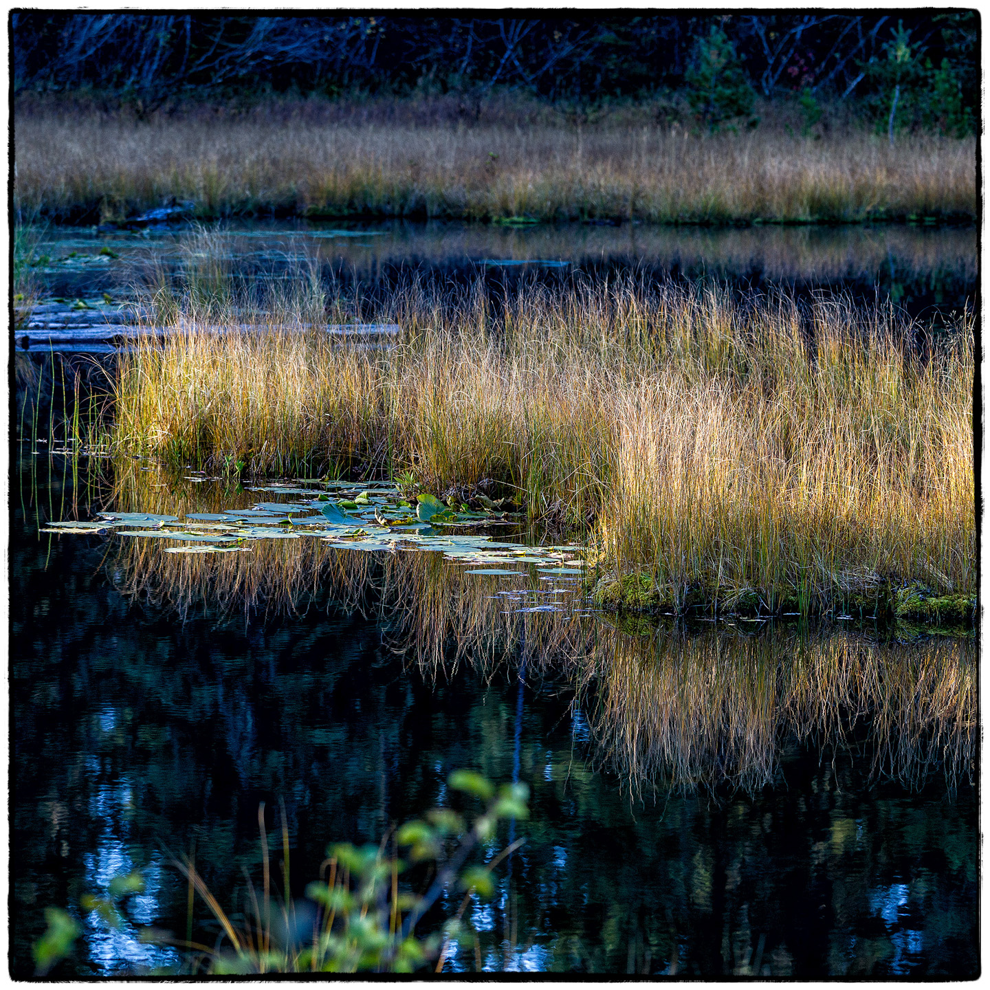Hungry Horse Reservoir, Montana