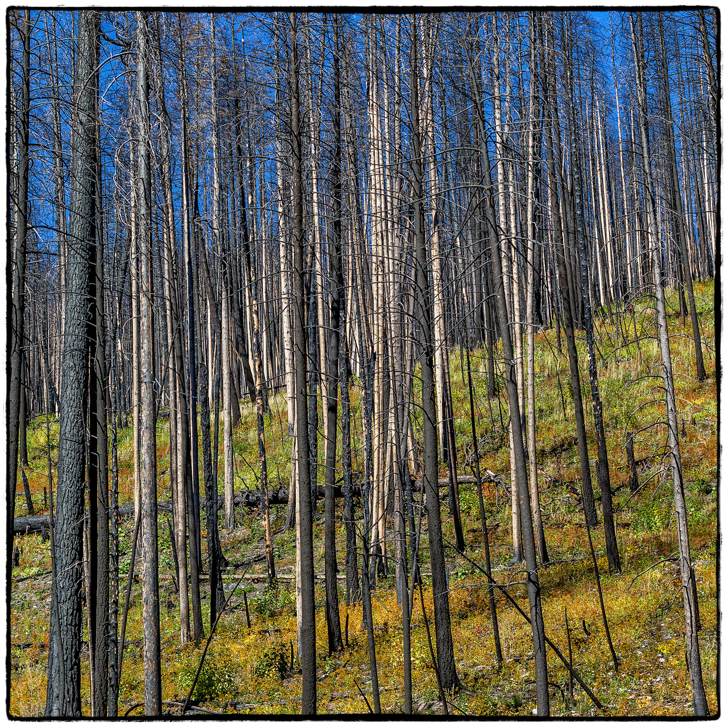 Hungry Horse Reservoir, Montana