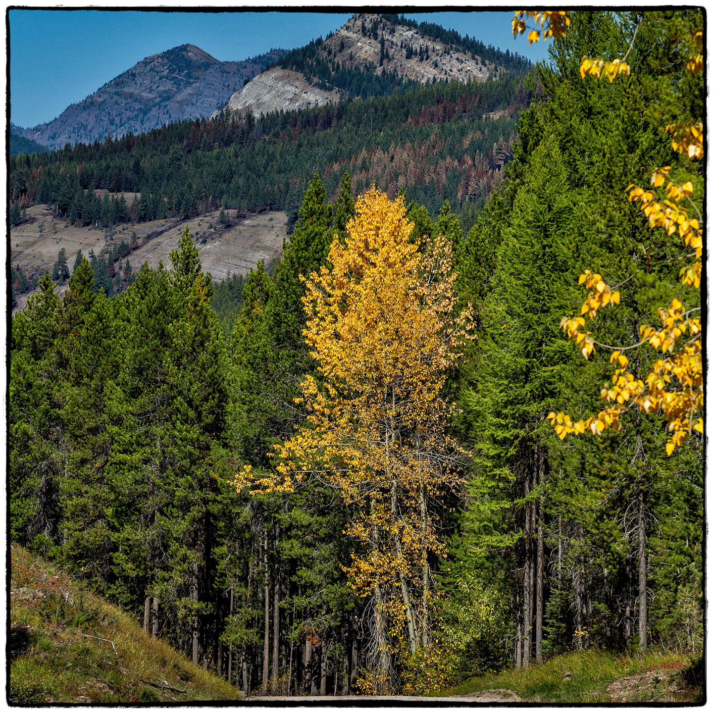 Hungry Horse Reservoir, Montana