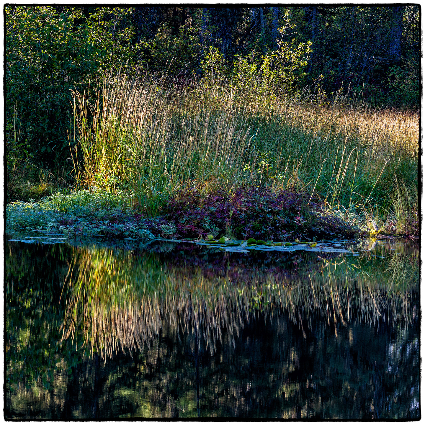 Hungry Horse Reservoir, Montana