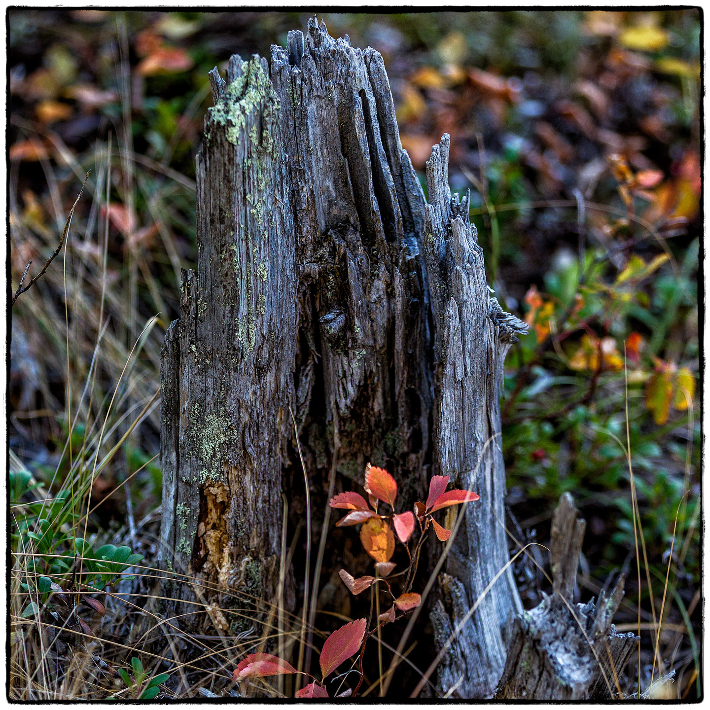 Hungry Horse Reservoir, Montana