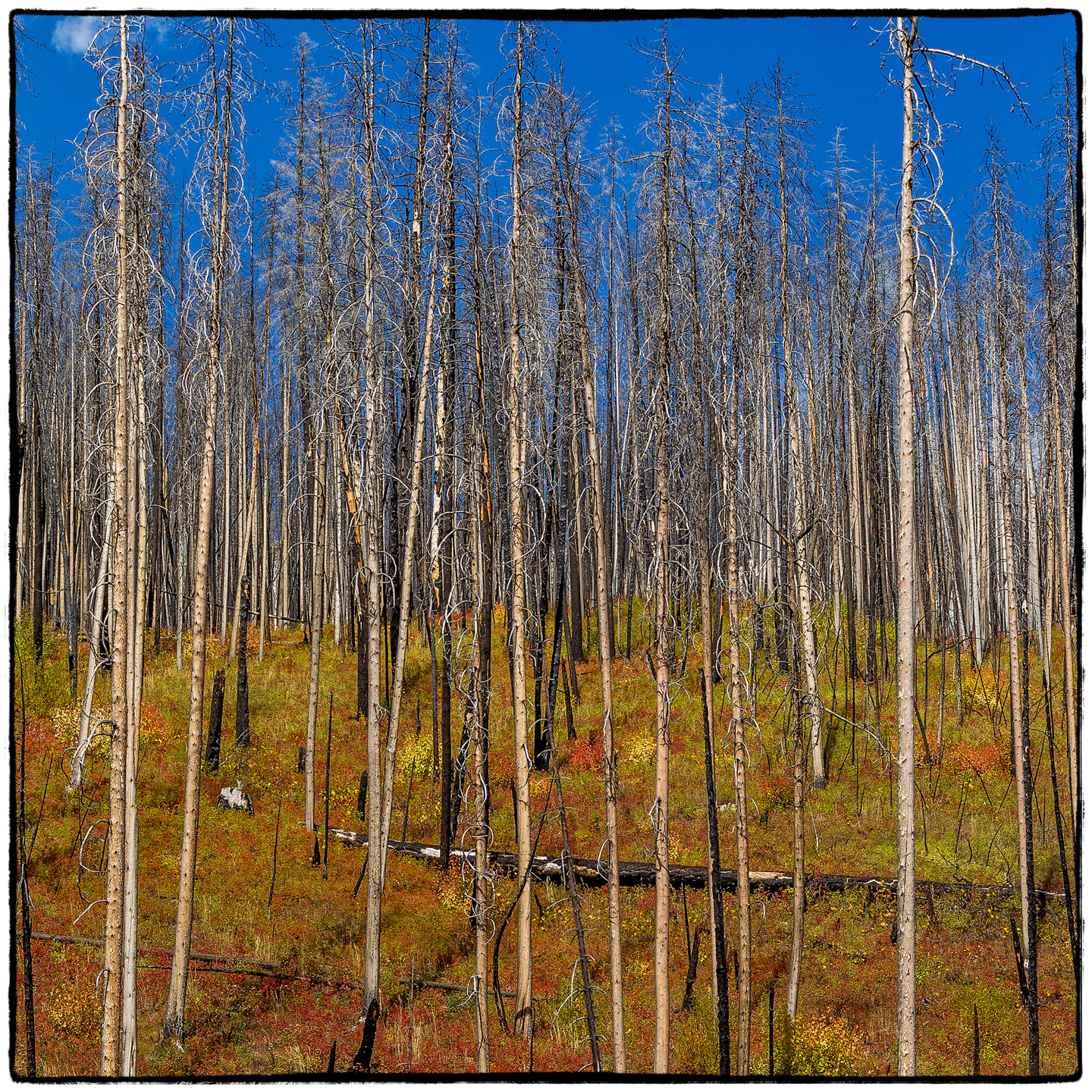 Hungry Horse Reservoir, Montana