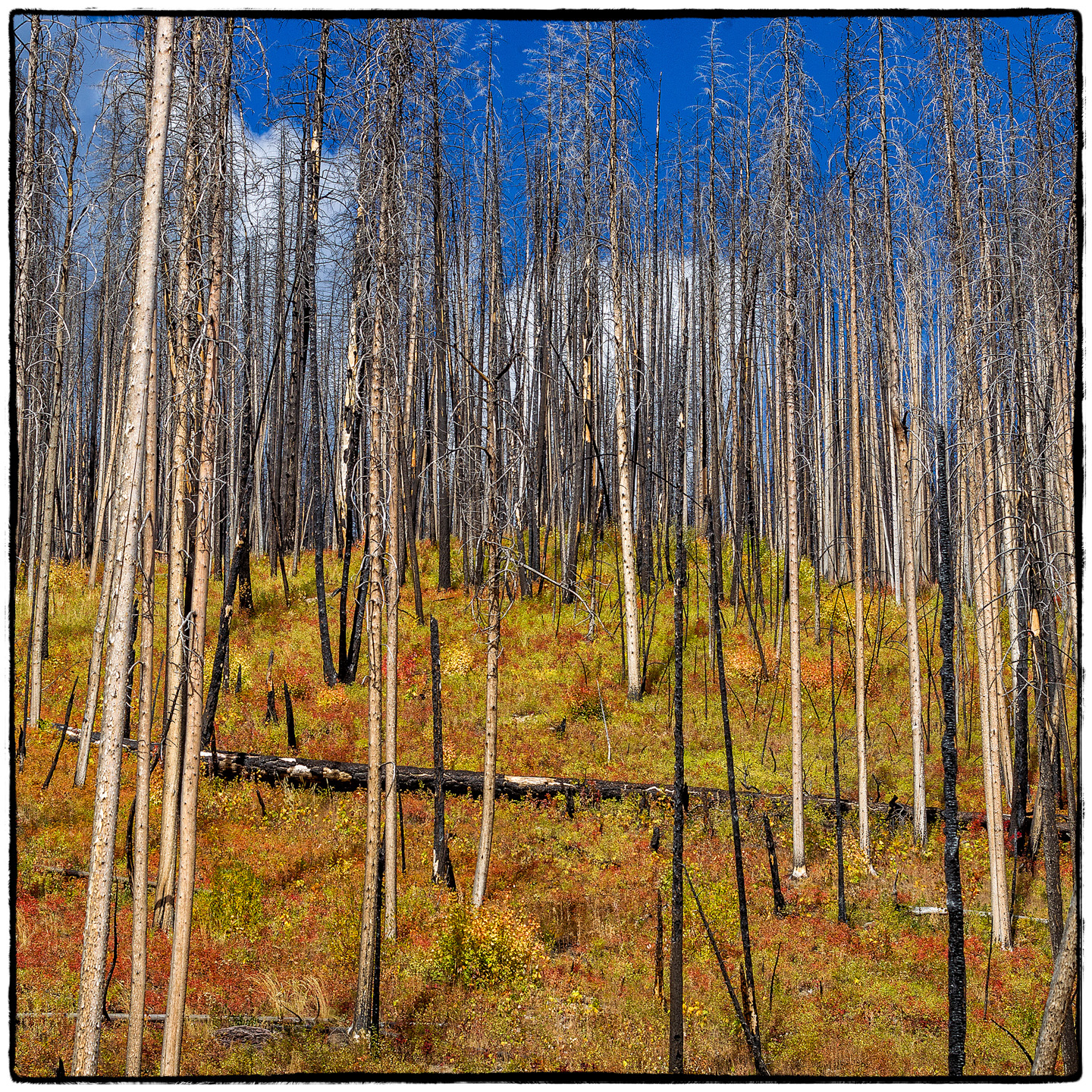 Hungry Horse Reservoir, Montana