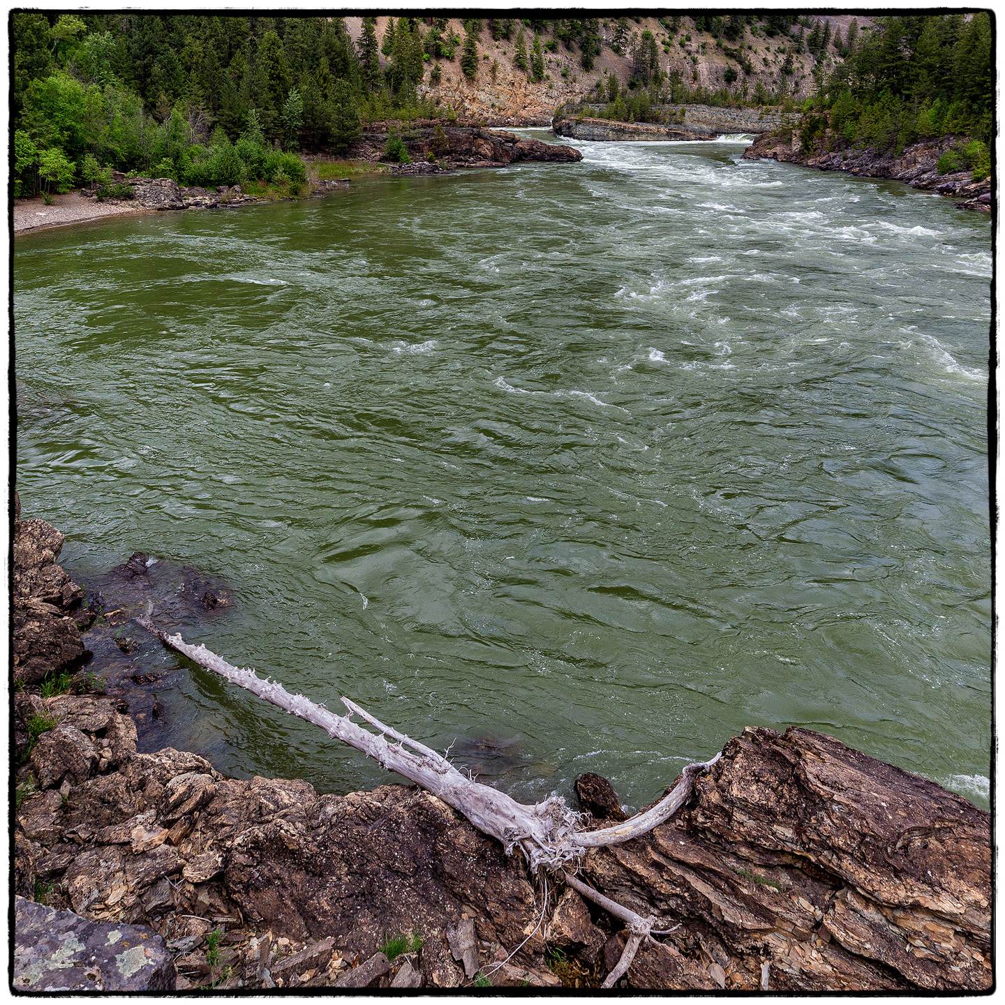 Kootenai Falls, Montana