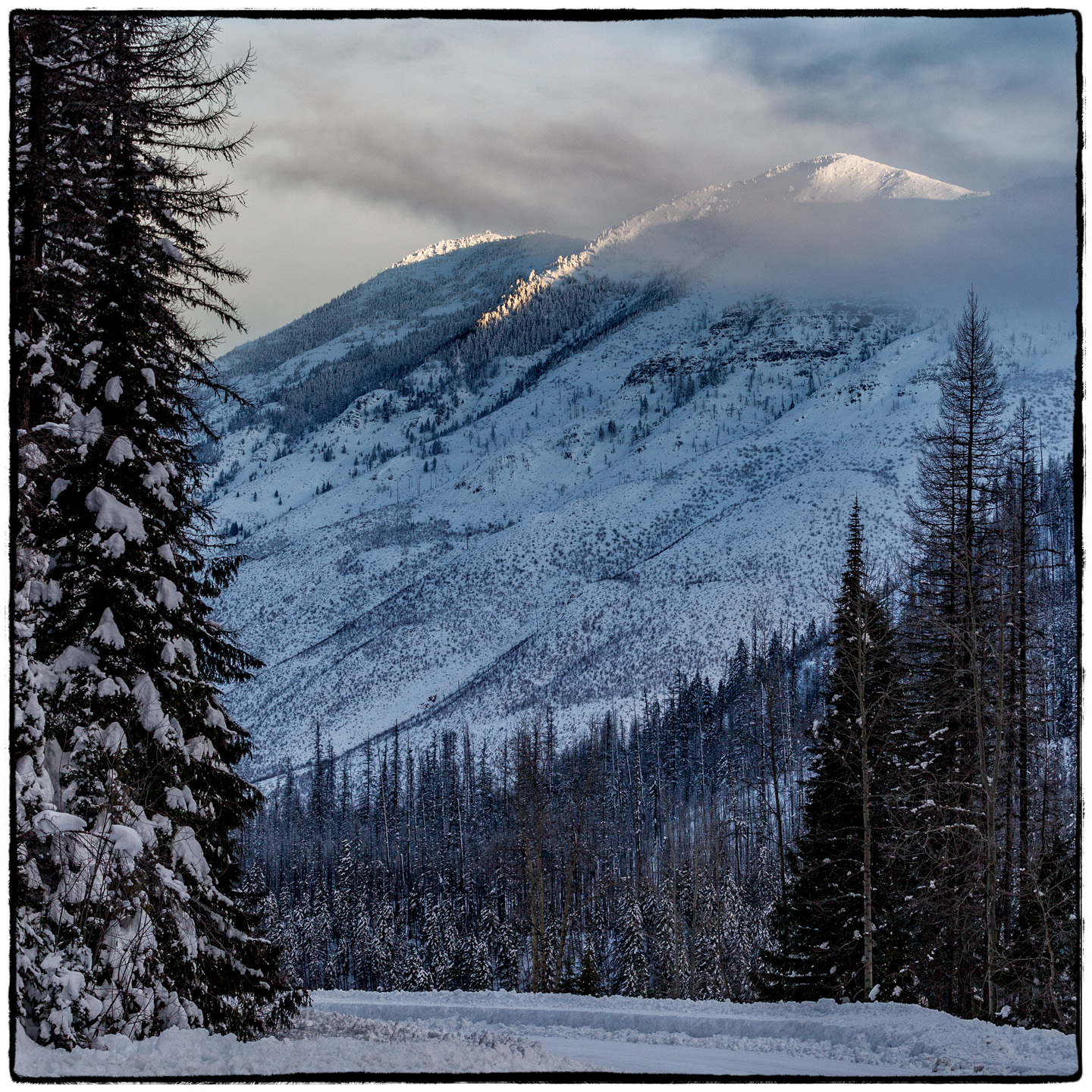 North Fork/Polebridge, Montana