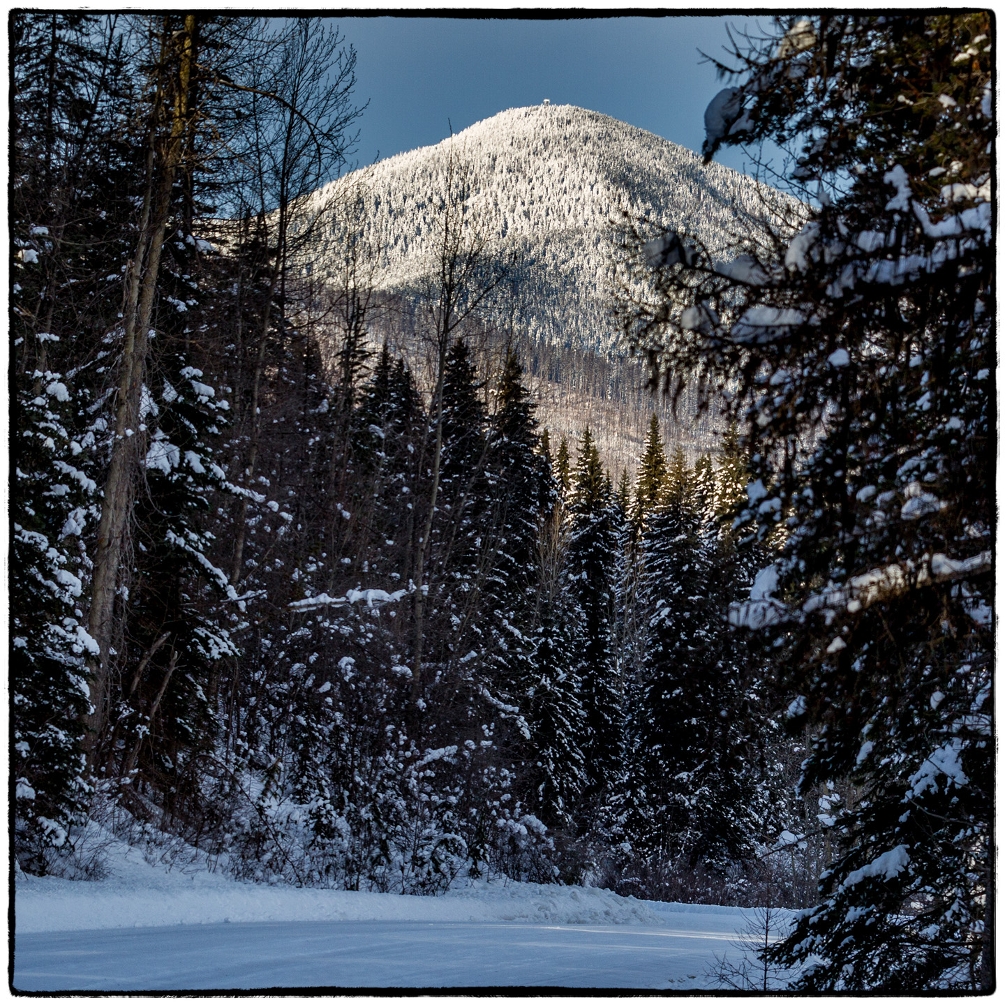North Fork/Polebridge, Montana