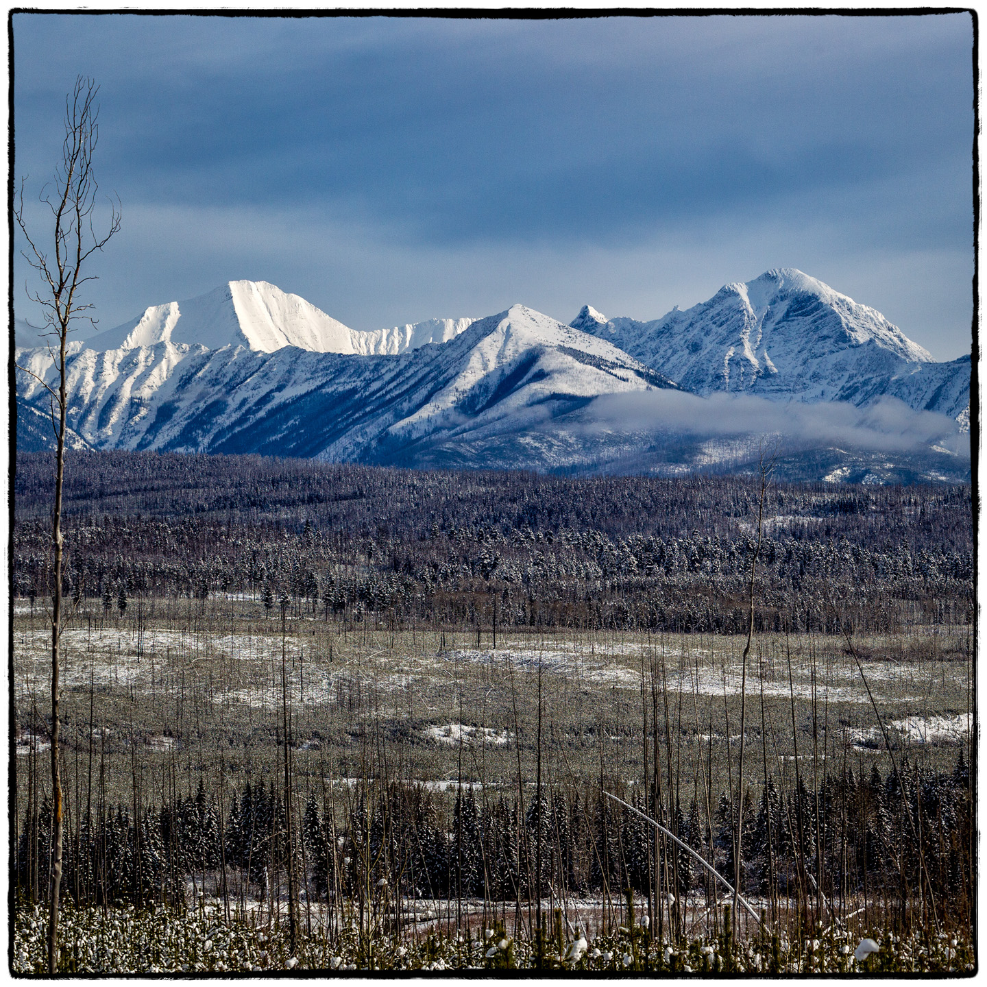 North Fork/Polebridge, Montana