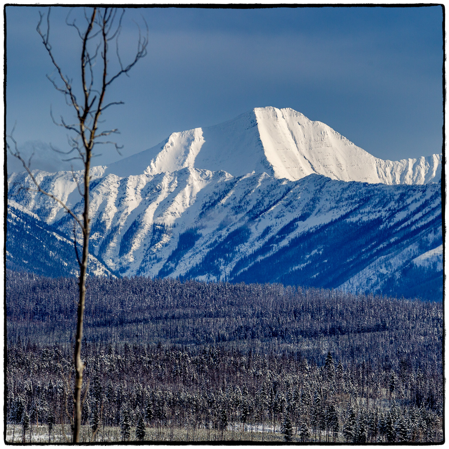 North Fork/Polebridge, Montana