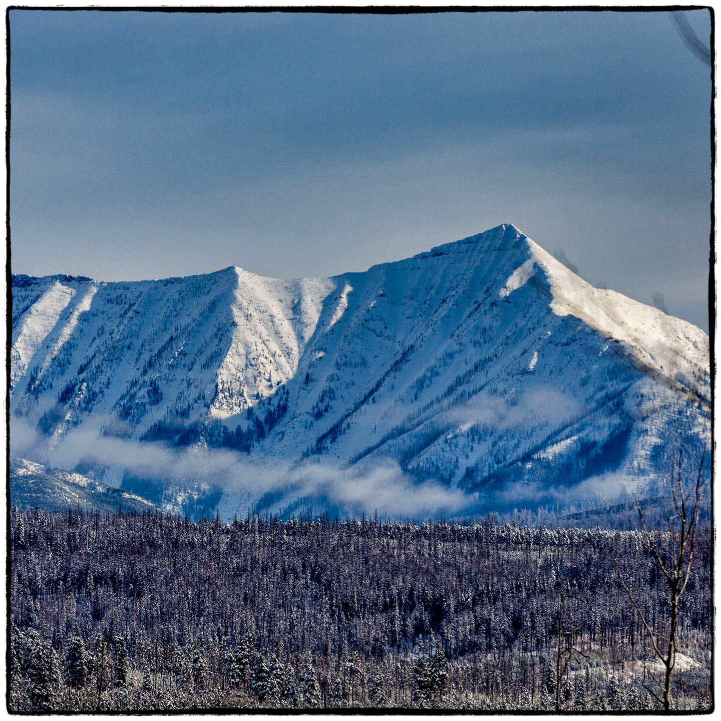 North Fork/Polebridge, Montana