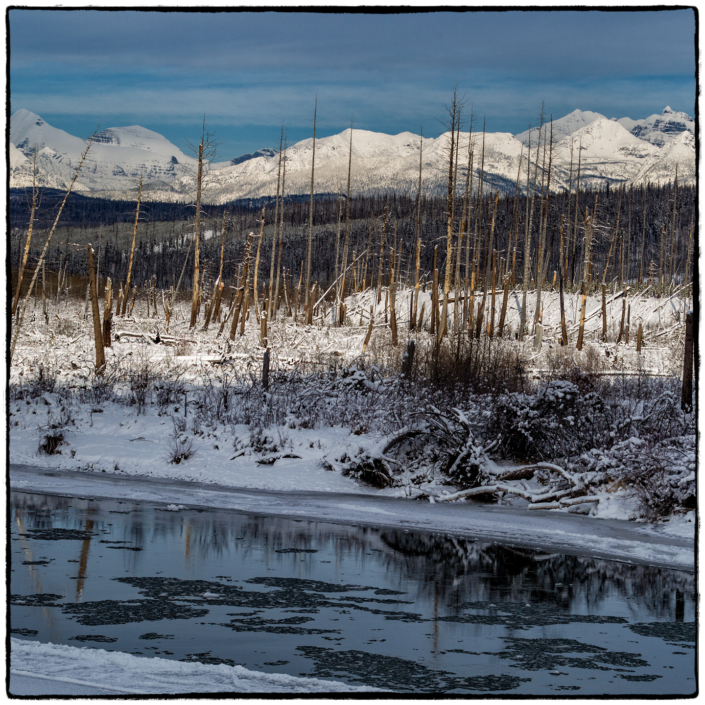 North Fork/Polebridge, Montana