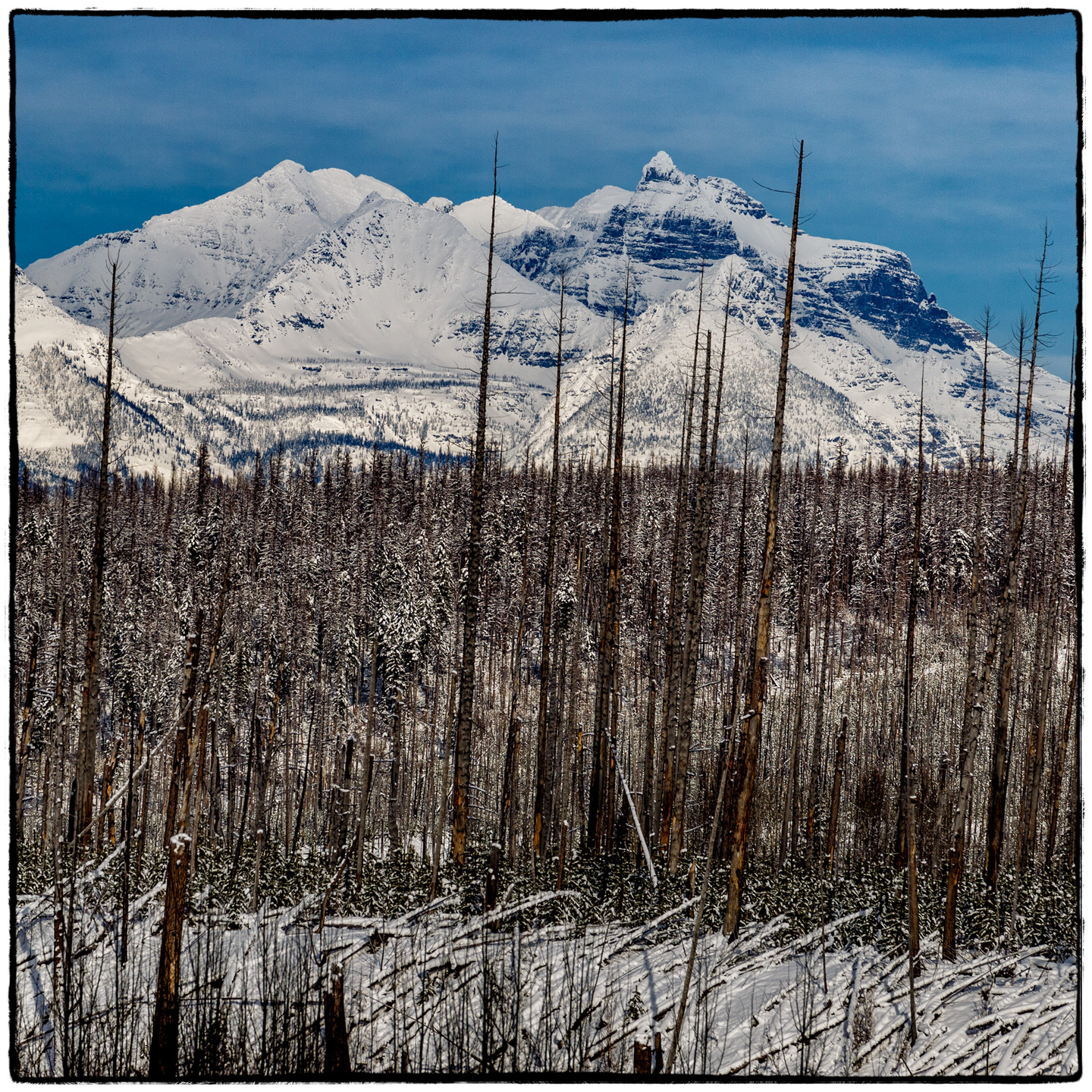 North Fork/Polebridge, Montana