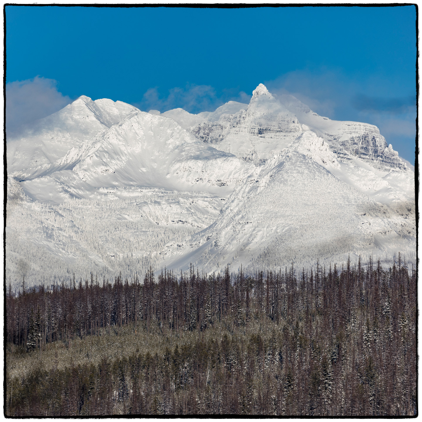North Fork/Polebridge, Montana