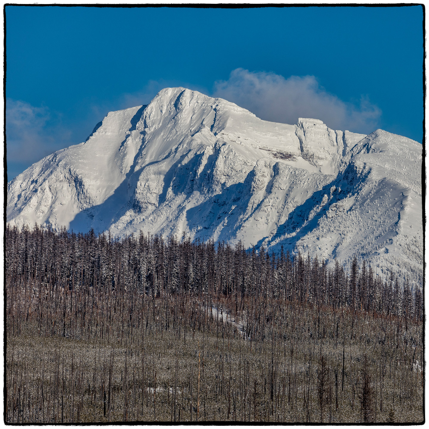 North Fork/Polebridge, Montana