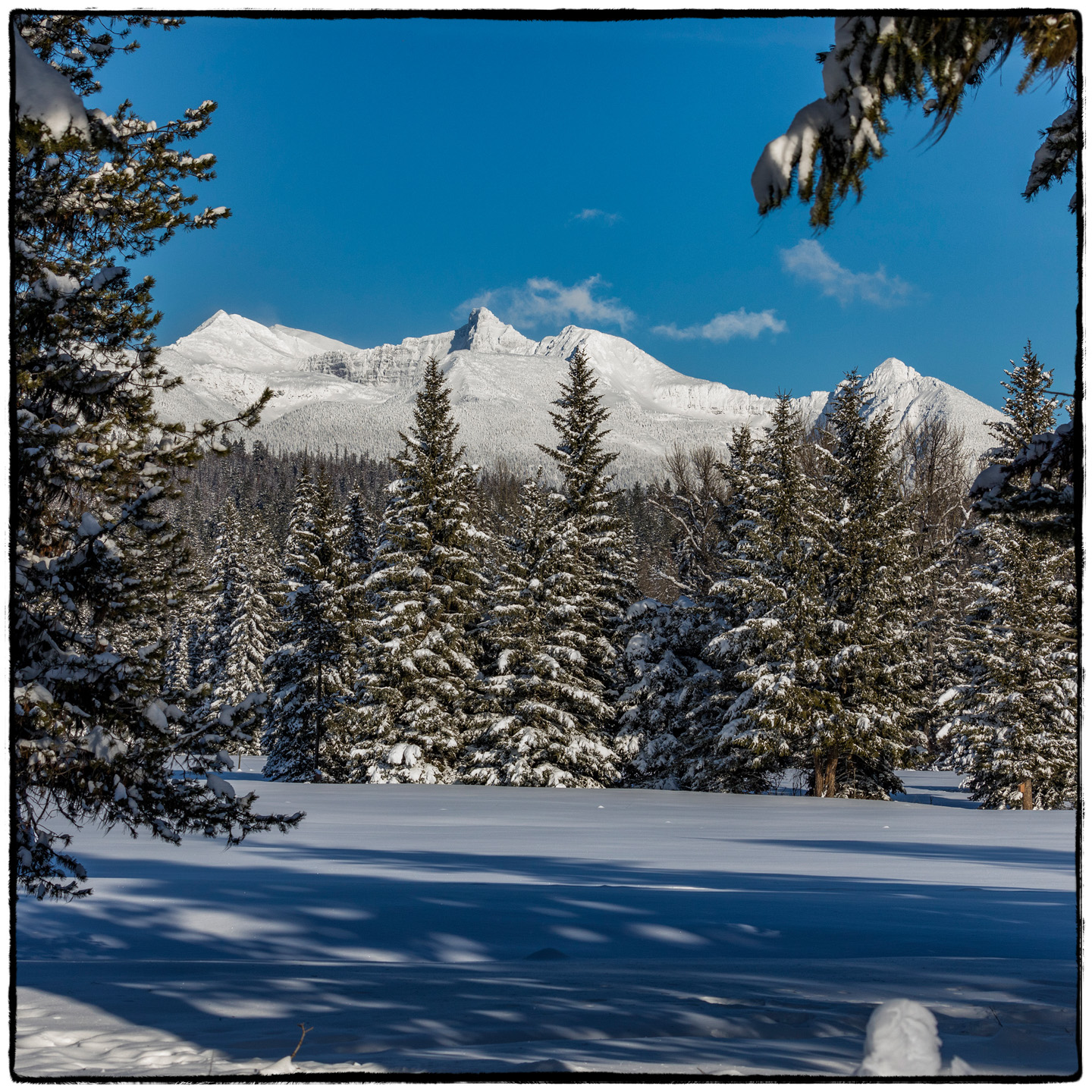 North Fork/Polebridge, Montana