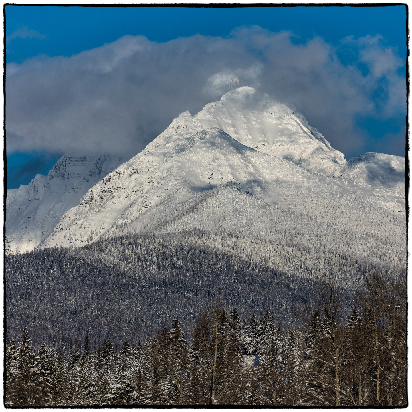 North Fork/Polebridge, Montana