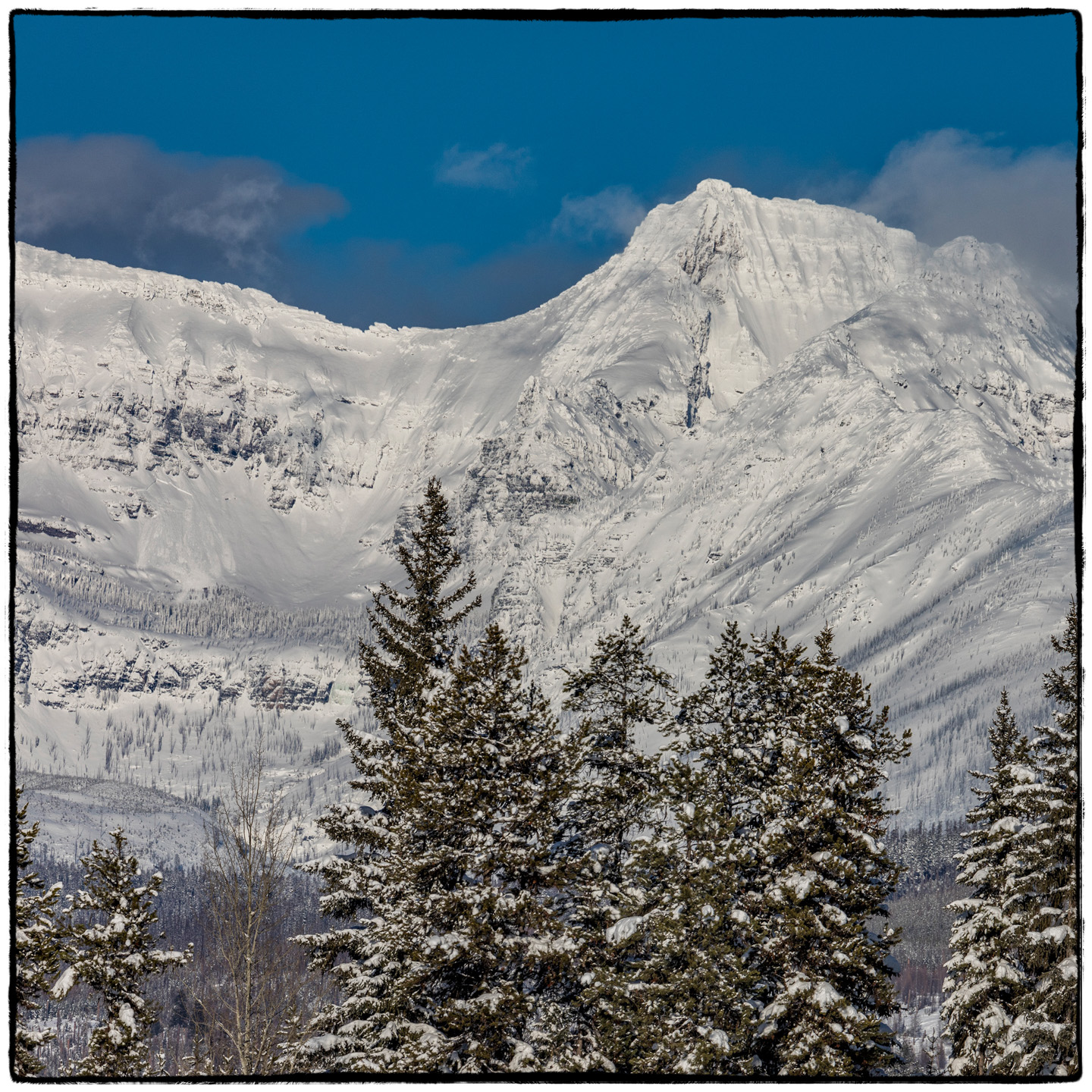 North Fork/Polebridge, Montana