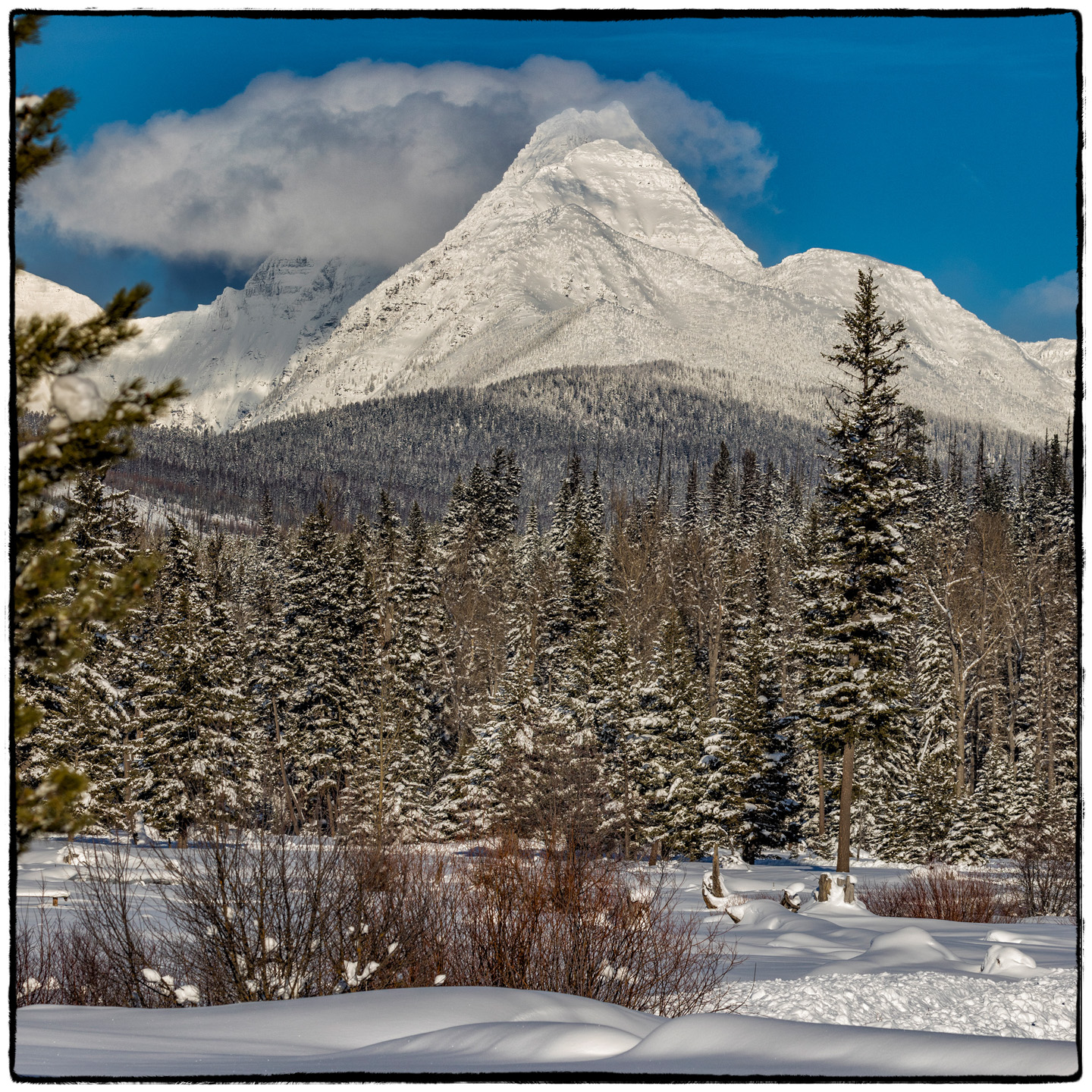 North Fork/Polebridge, Montana