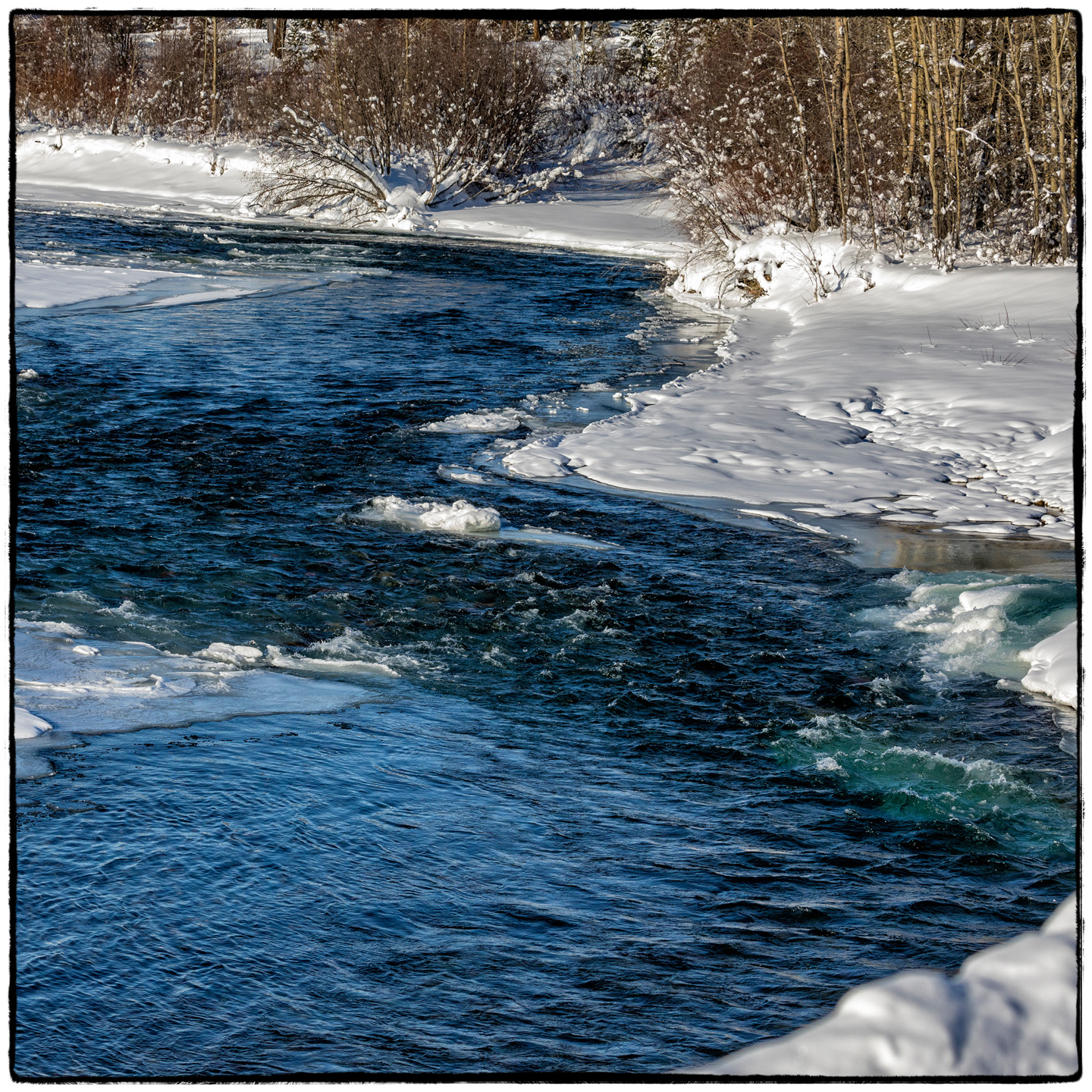 North Fork/Polebridge, Montana