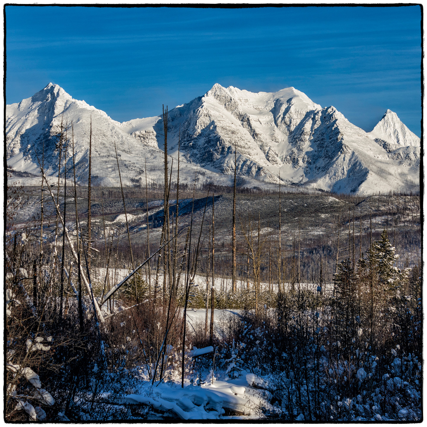 North Fork/Polebridge, Montana